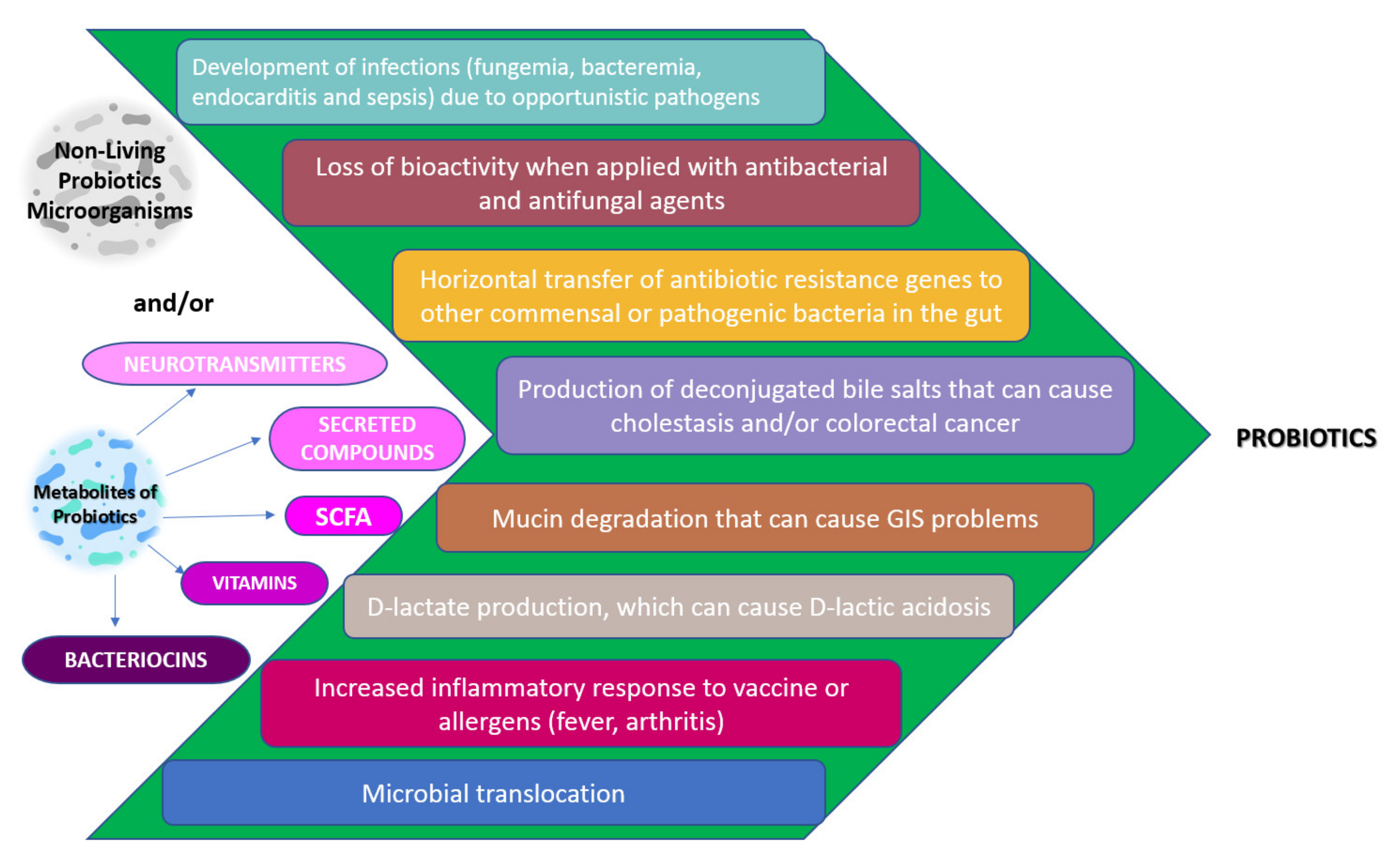Biologics | Free Full-Text | Involvement of Probiotics and Postbiotics in  the Immune System Modulation