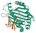 Biologics 01 00007 i003