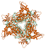 Biologics 01 00007 i004