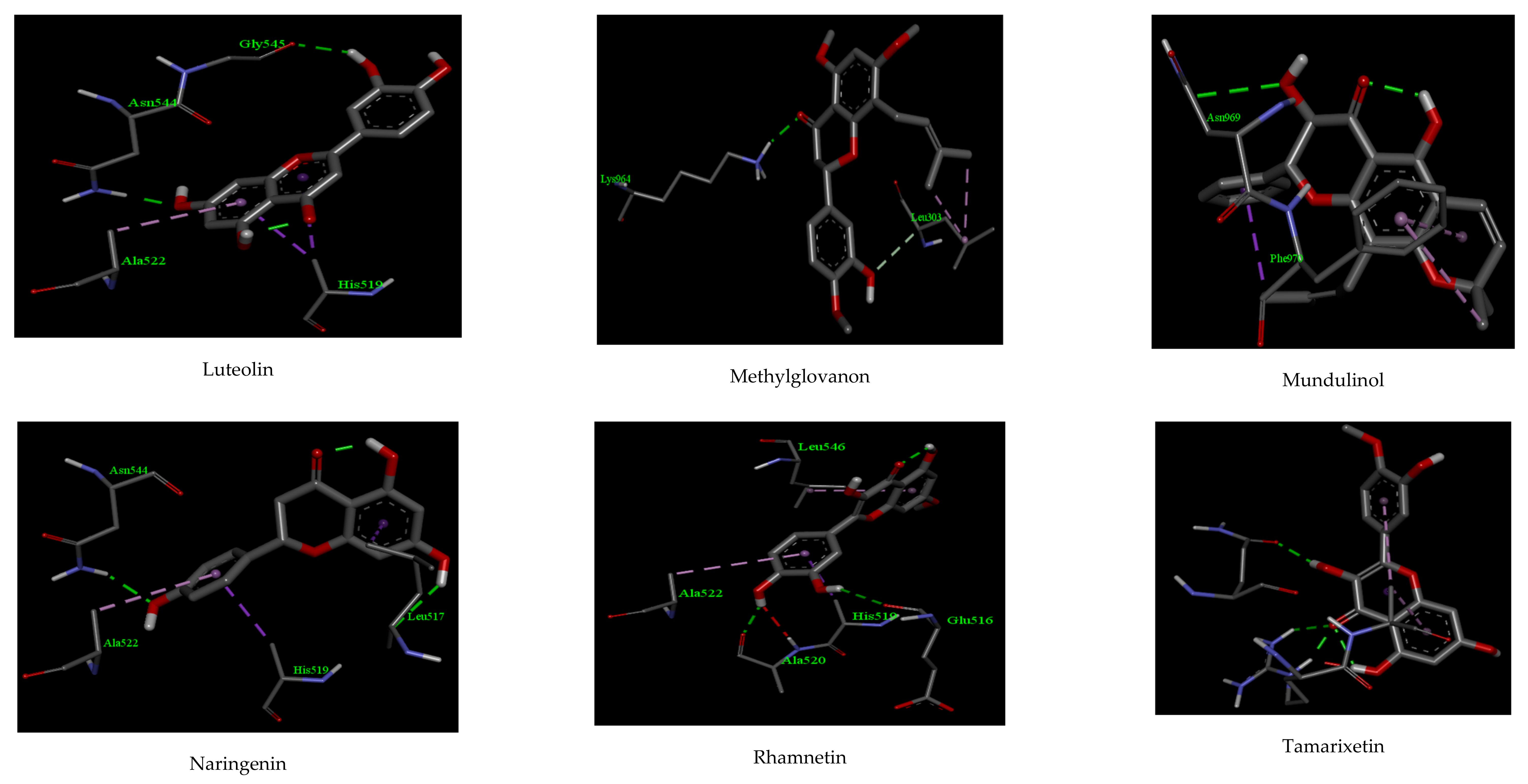 Biologics Free Full Text In Silico Evaluation Of Different Flavonoids From Medicinal Plants For Their Potency Against Sars Cov 2 Html