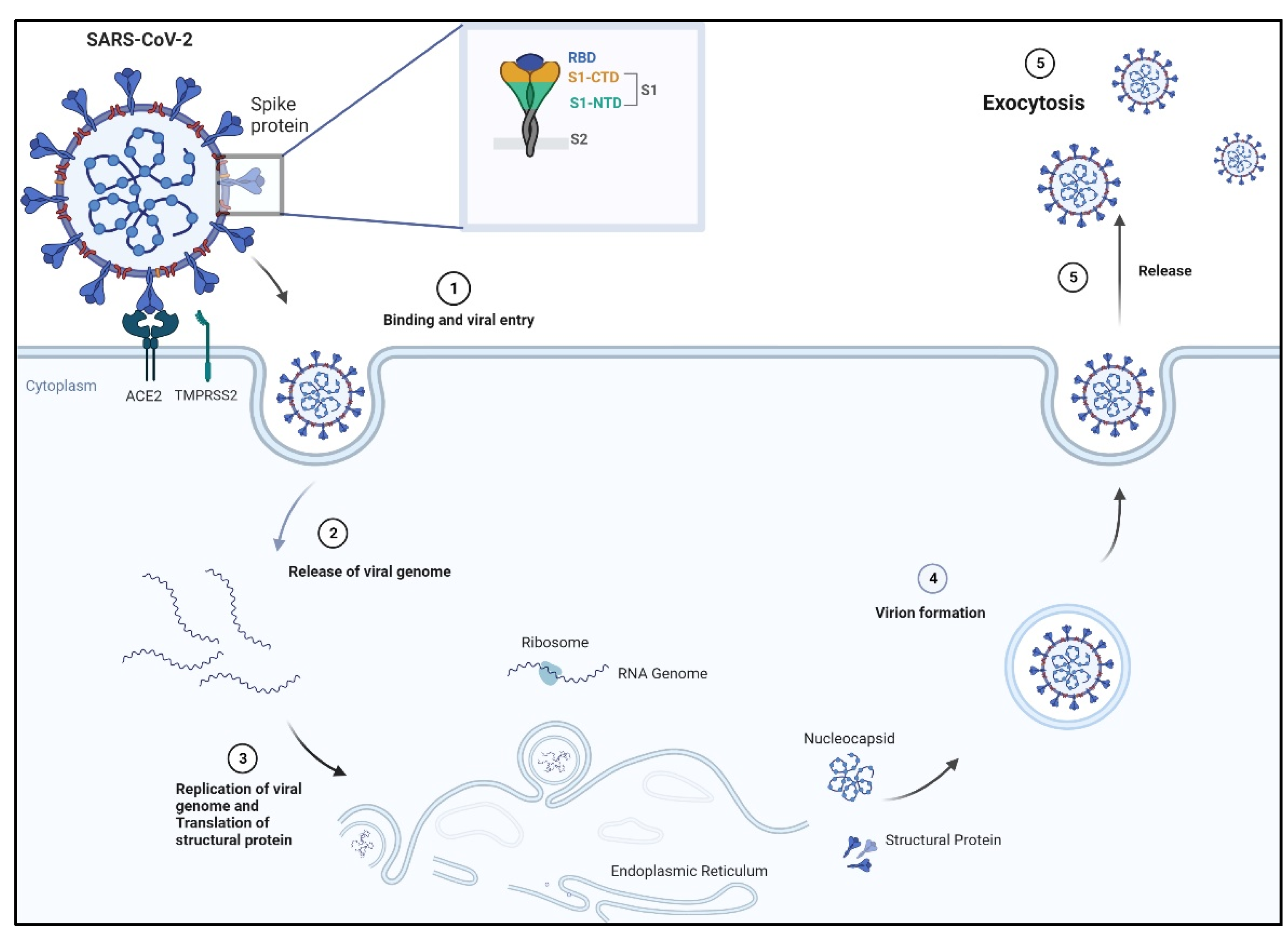 Biologics 03 00007 g001