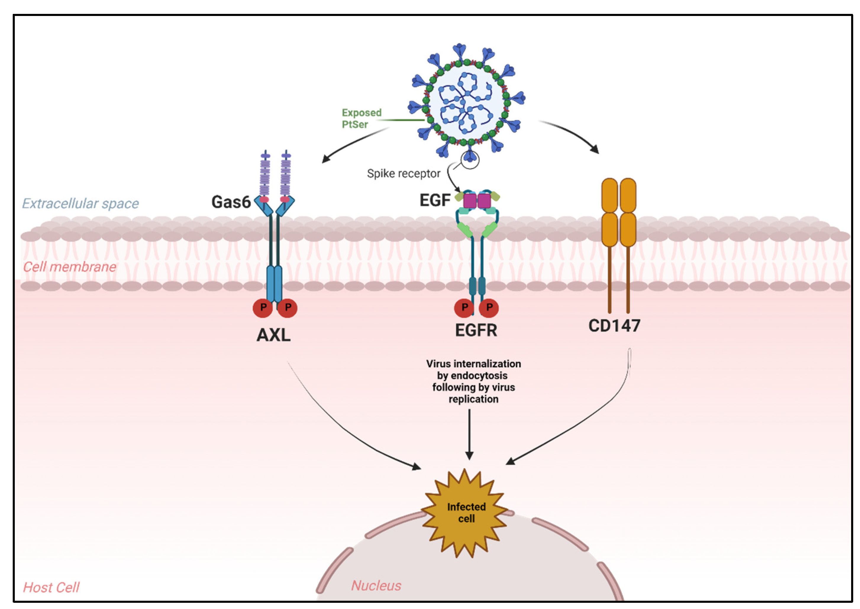 Biologics 03 00007 g002