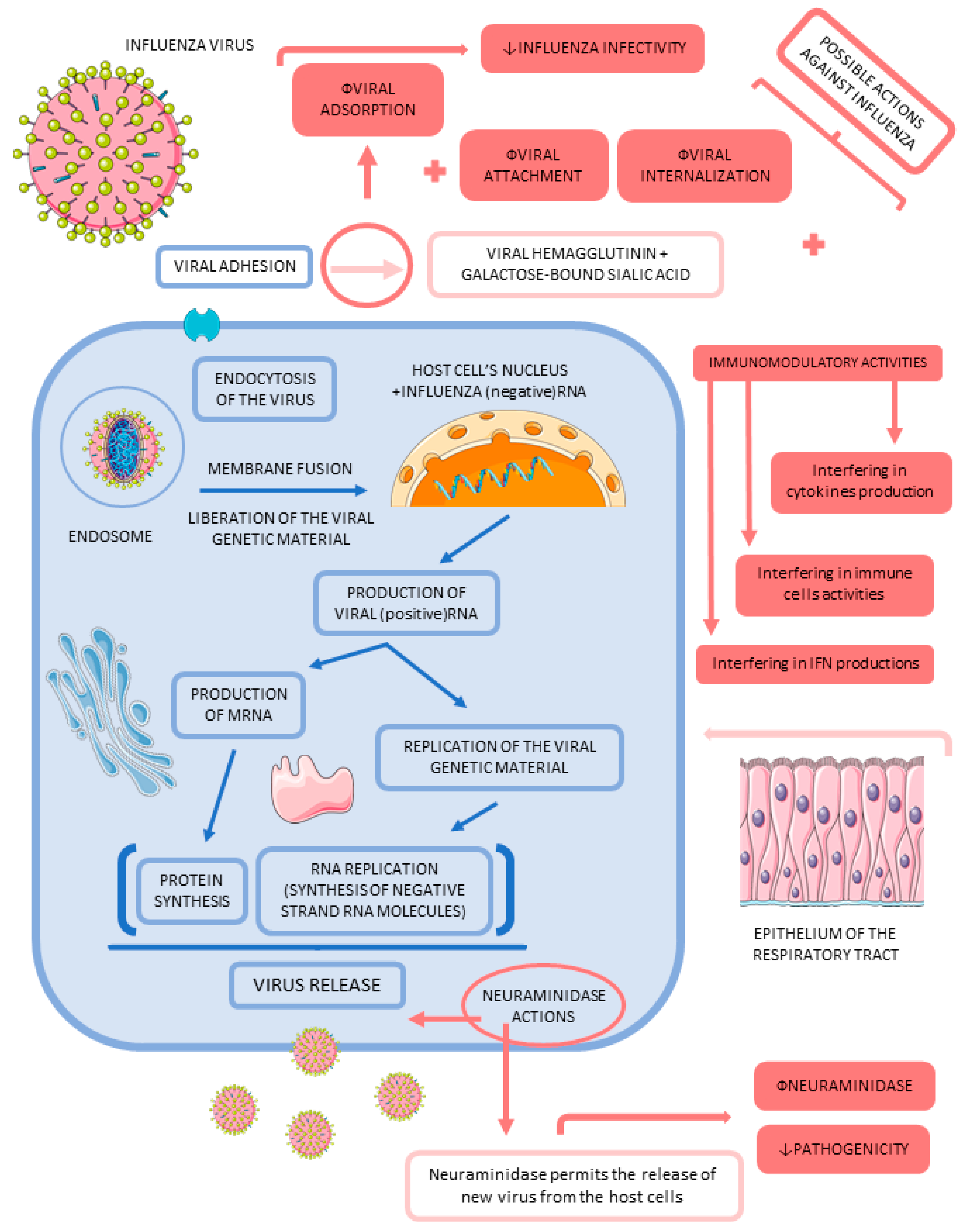 Biologics 03 00009 g002