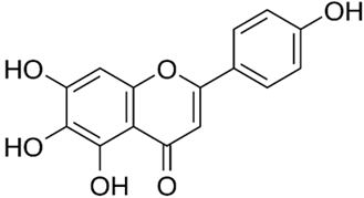 Biologics 03 00009 i007