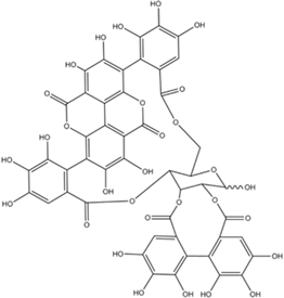 Biologics 03 00009 i041