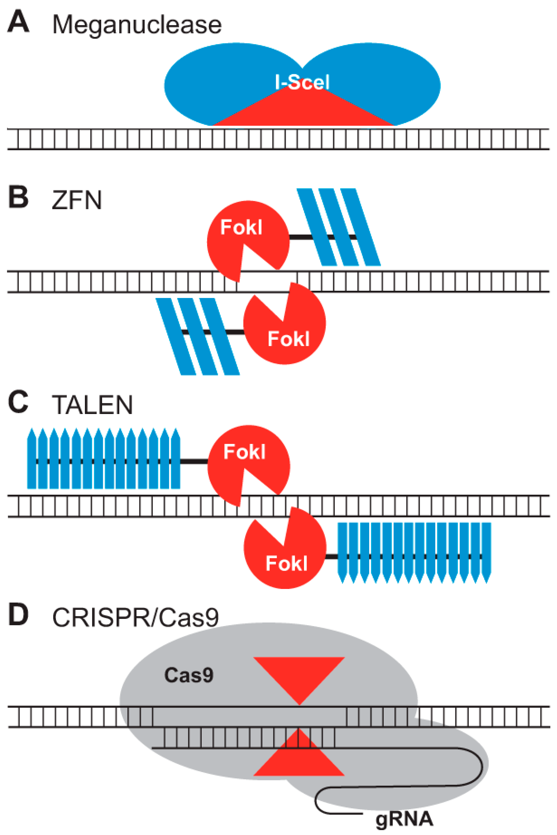 Biologics 03 00014 g002 Biologics 03 00014 g002