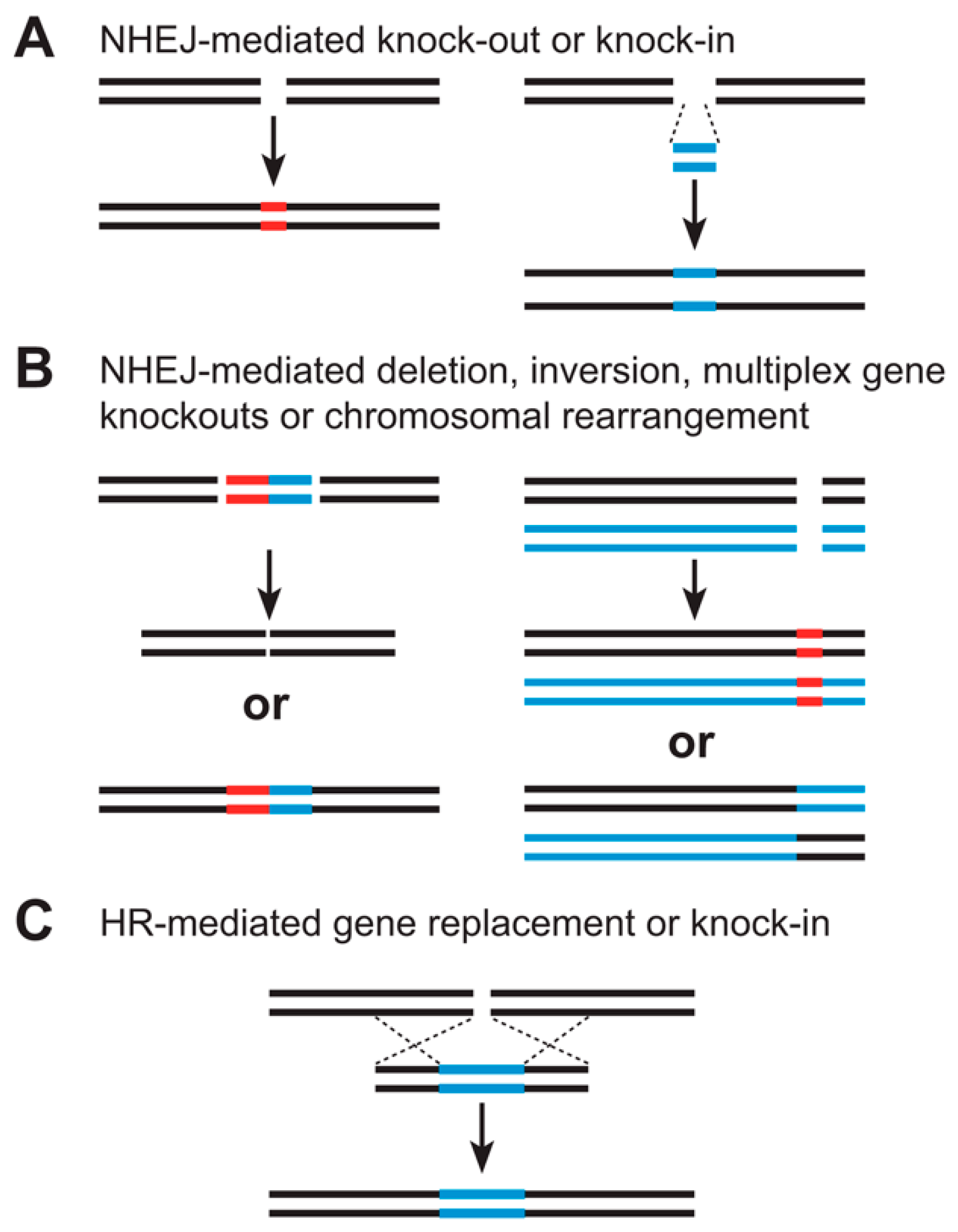 Biologics 03 00014 g003 Biologics 03 00014 g003