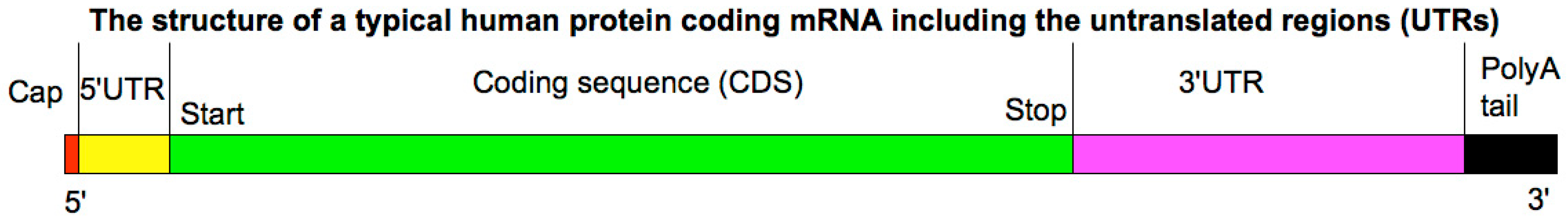 Biologics 03 00020 g001