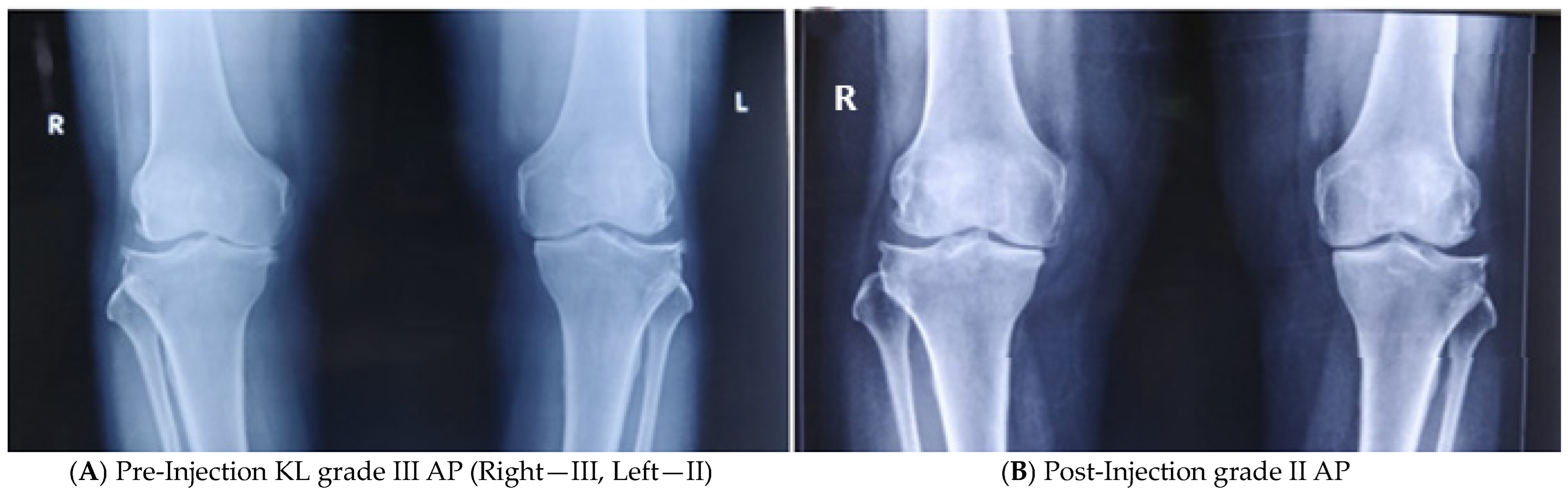 Biologics 04 00015 g007