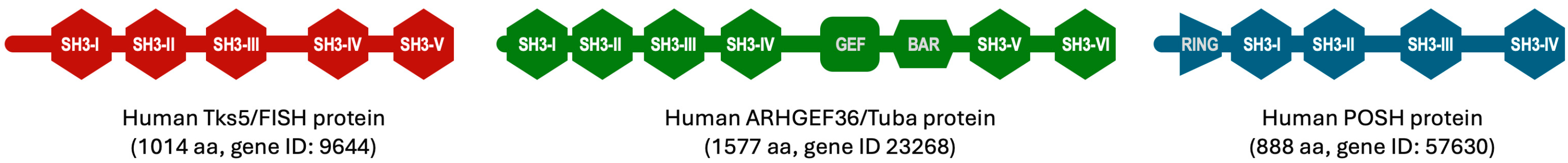 Biologics 05 00013 g001