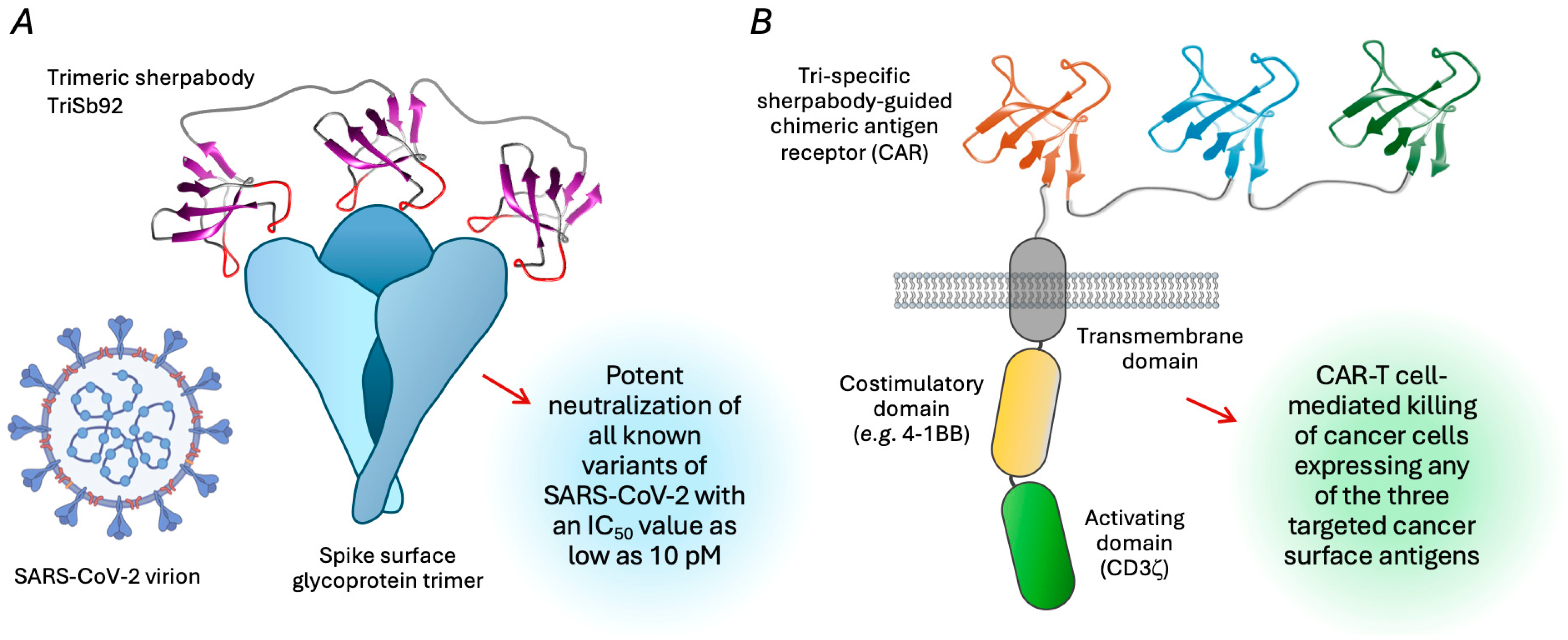 Biologics 05 00013 g004