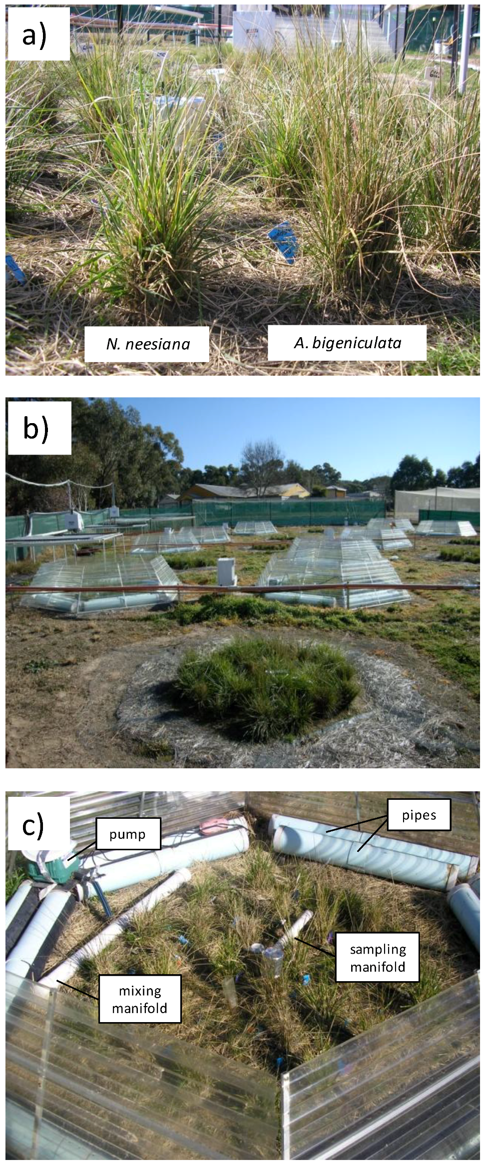 Biology 02 00481 g002