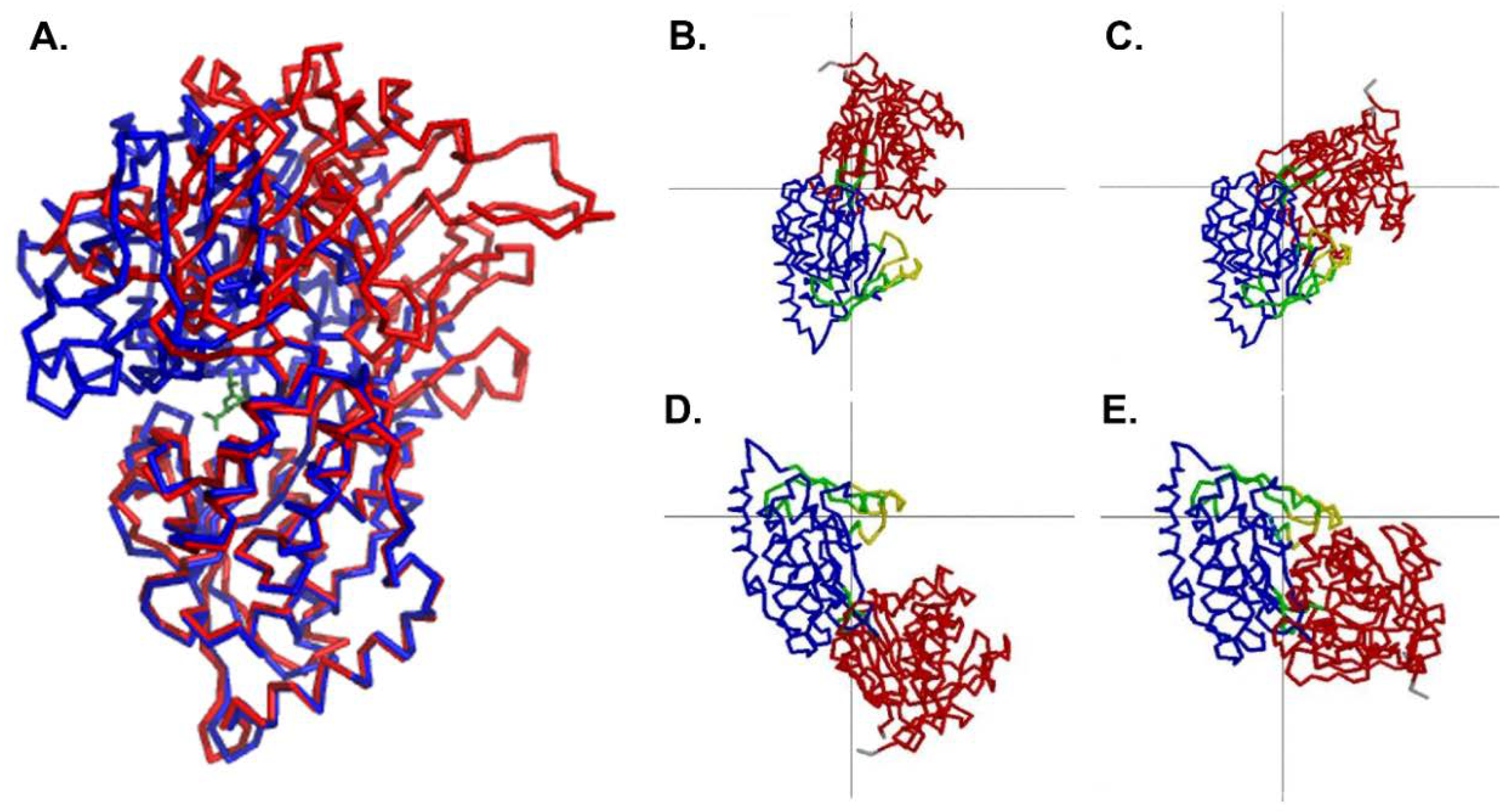 Biology Free Full Text Open Conformation Of The Escherichia Coli Periplasmic Murein Tripeptide Binding Protein Mppa At High Resolution Html