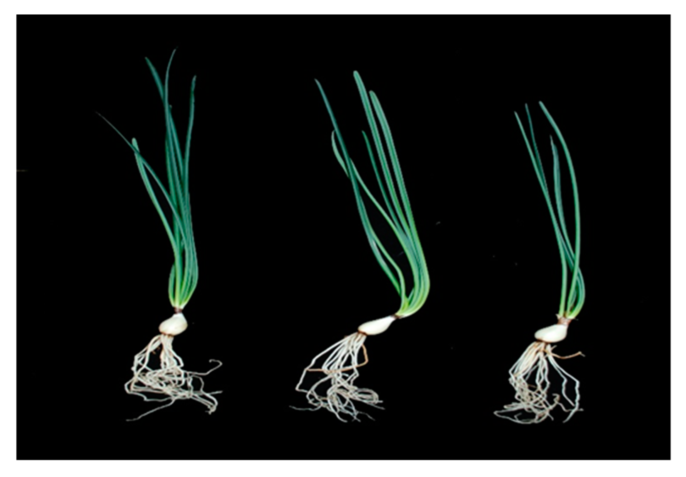 Biology 08 00063 g002 Biology 08 00063 g002