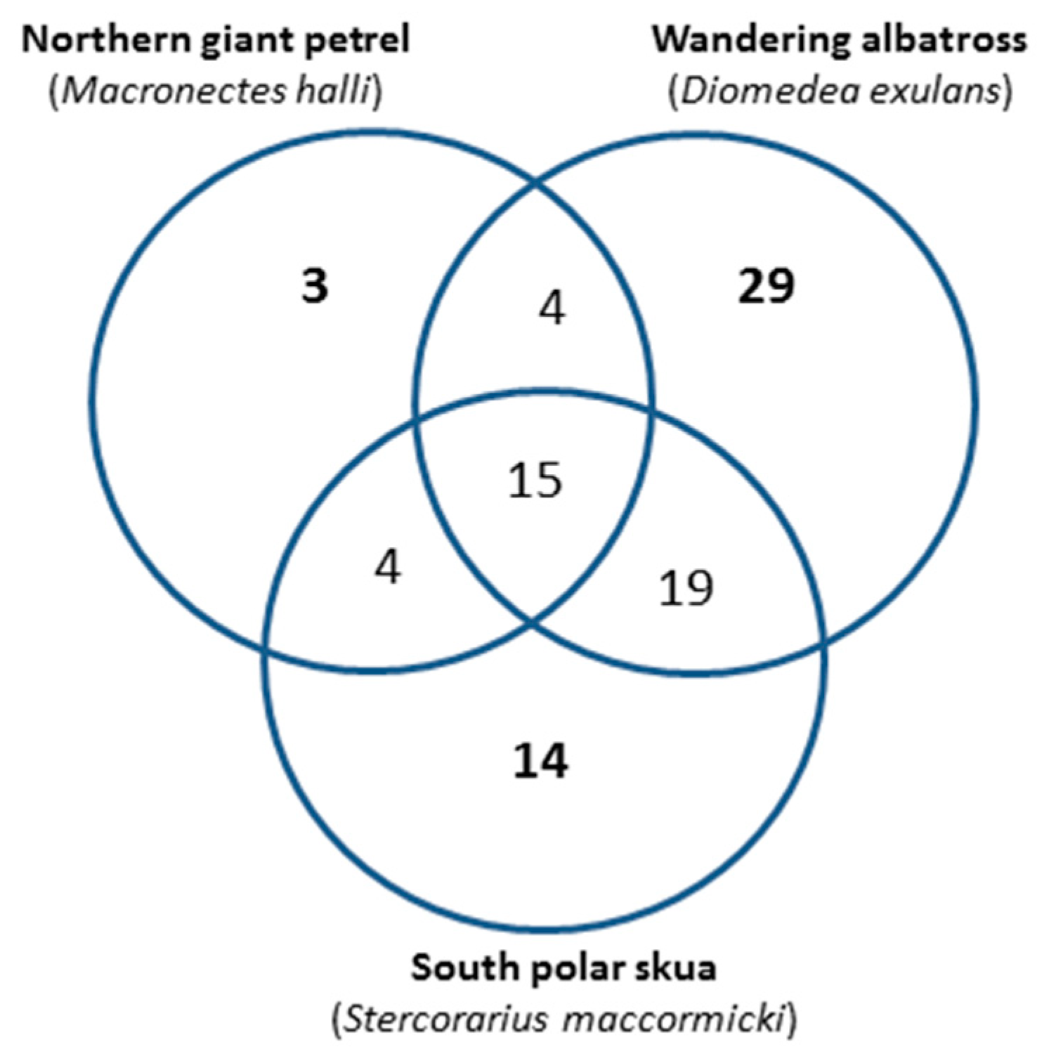 Biology Free Full Text Protein Deimination And Extracellular Vesicle Profiles In Antarctic Seabirds Html