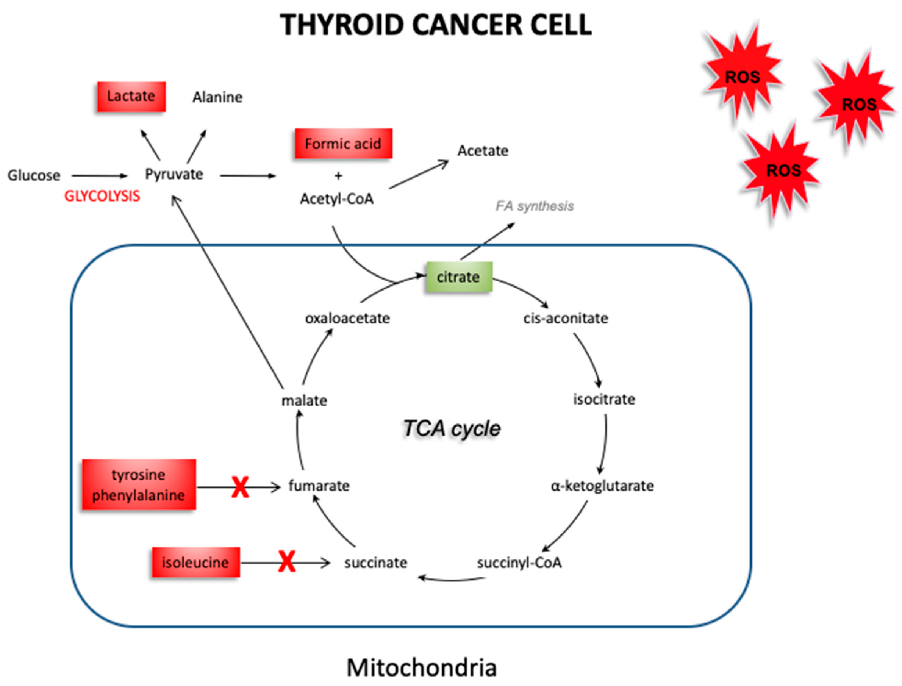 Biology 09 00112 g007 Biology 09 00112 g007