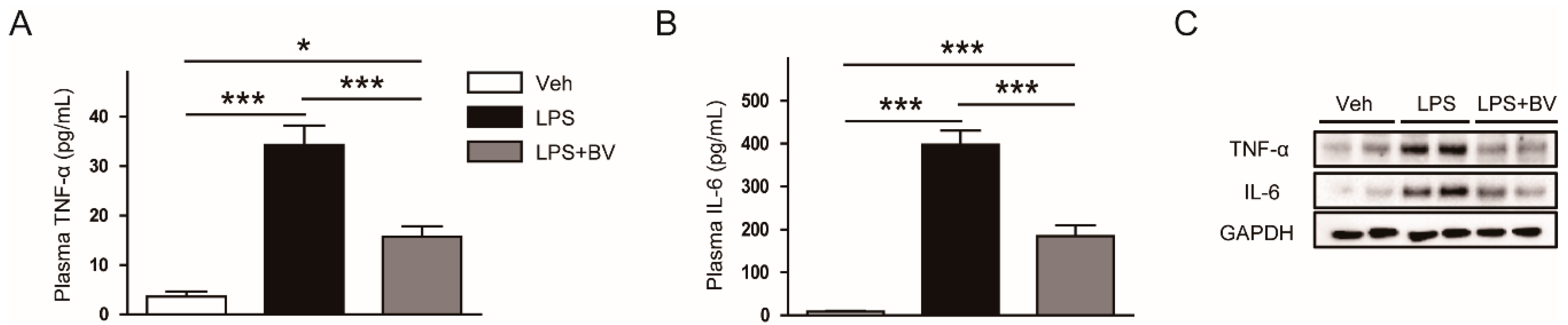 Biology 09 00154 g004