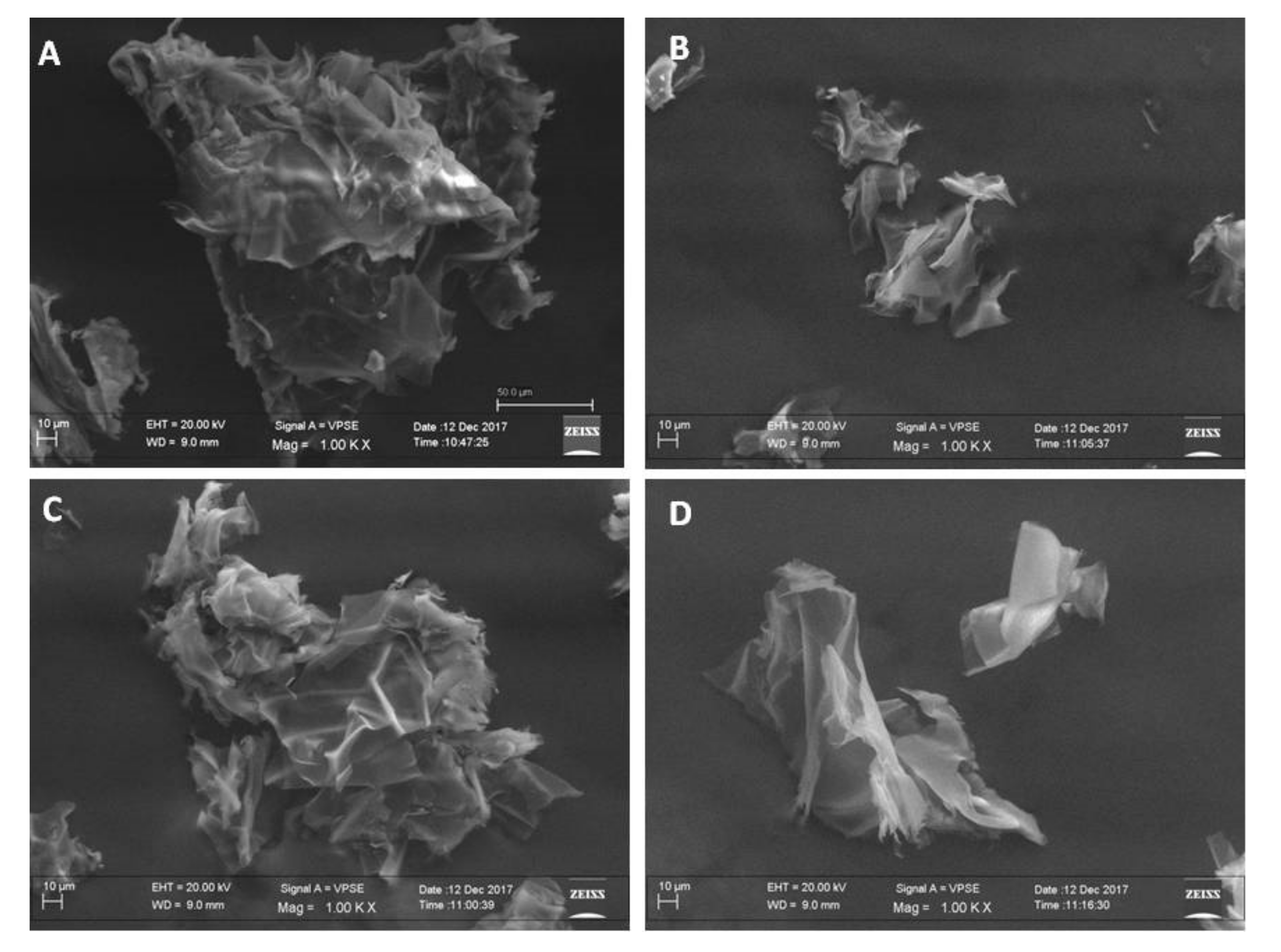 Biology 09 00159 g001 Biology 09 00159 g001