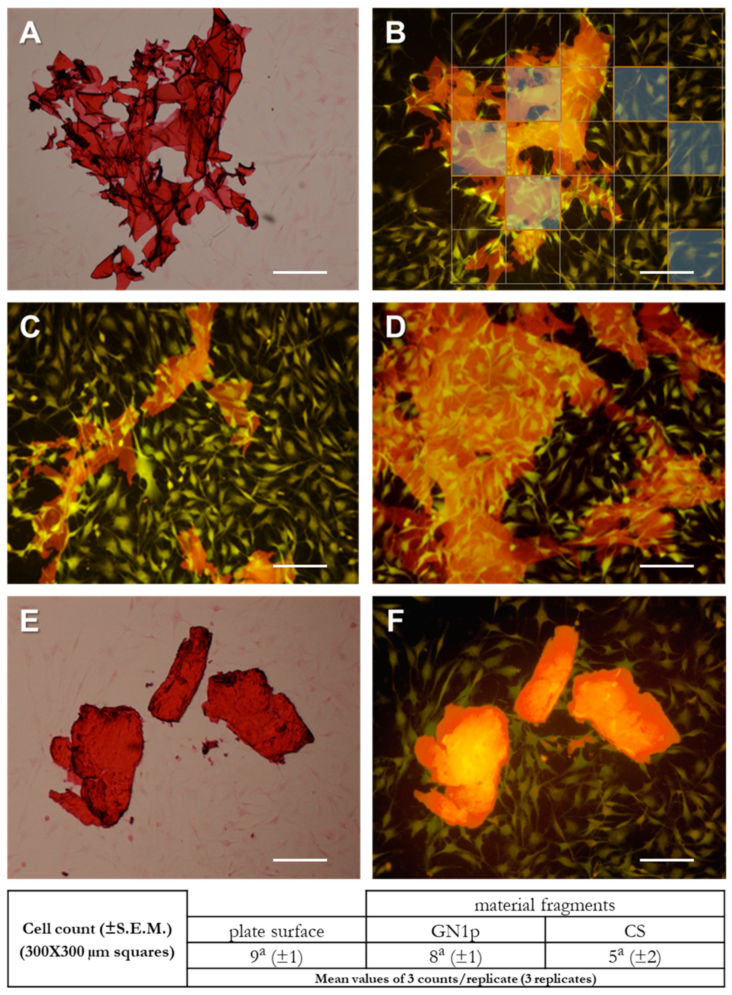 Biology 09 00159 g004 Biology 09 00159 g004