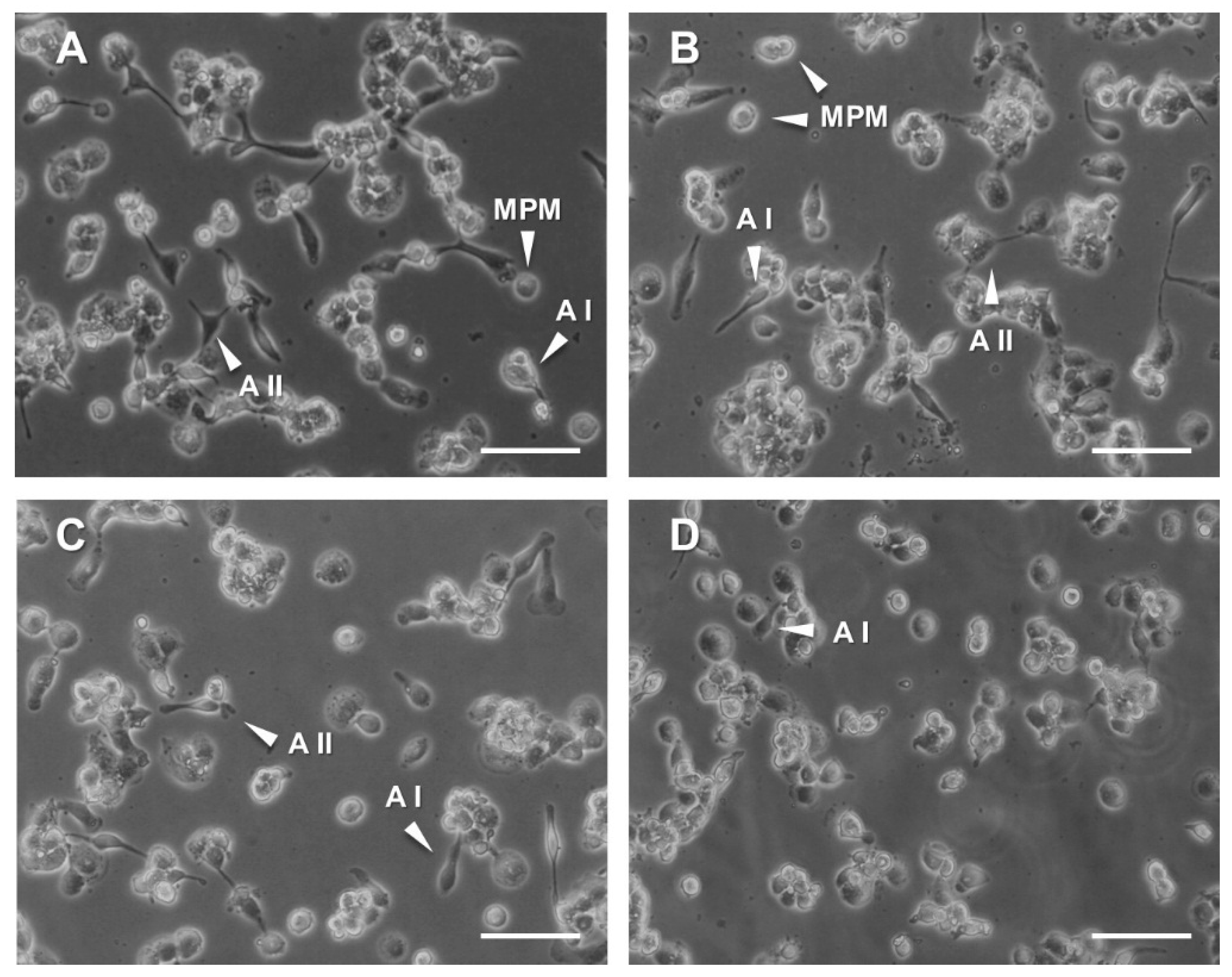 Biology 09 00159 g005 Biology 09 00159 g005