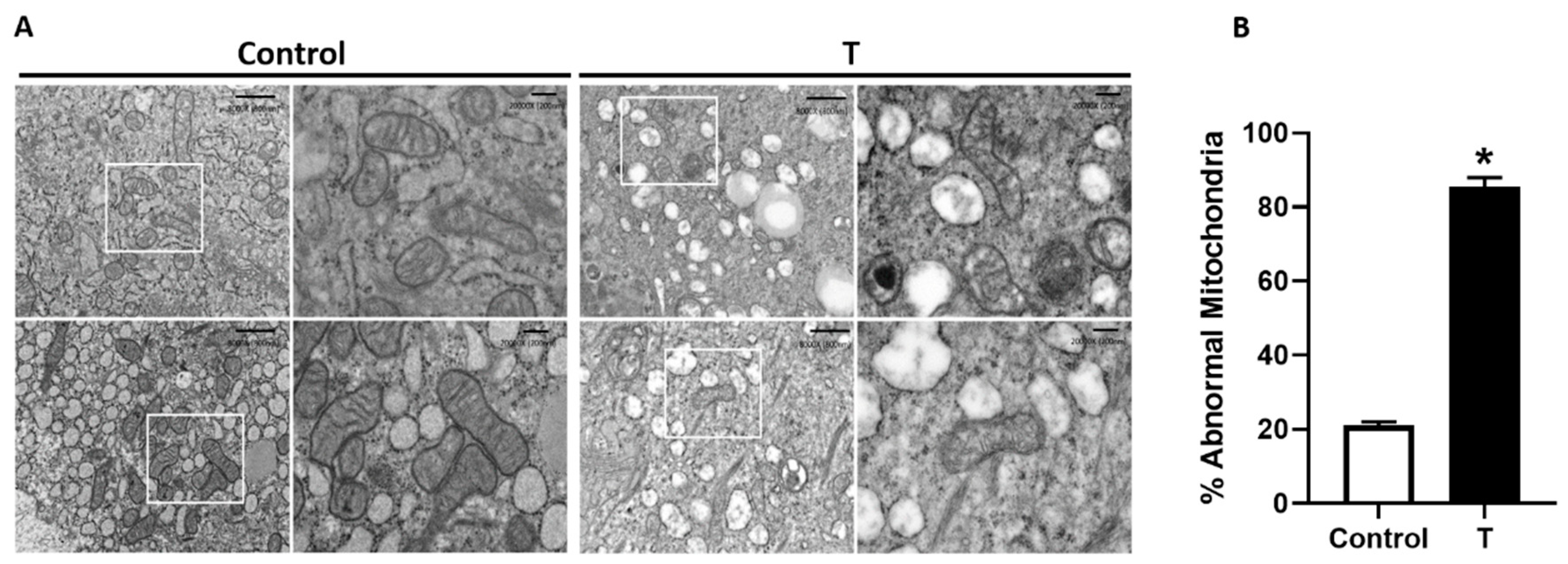 Biology 09 00176 g002 Biology 09 00176 g002