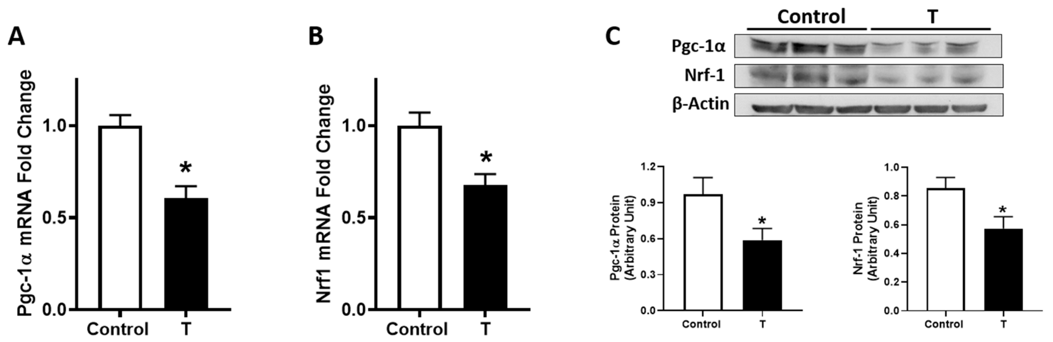 Biology 09 00176 g004 Biology 09 00176 g004