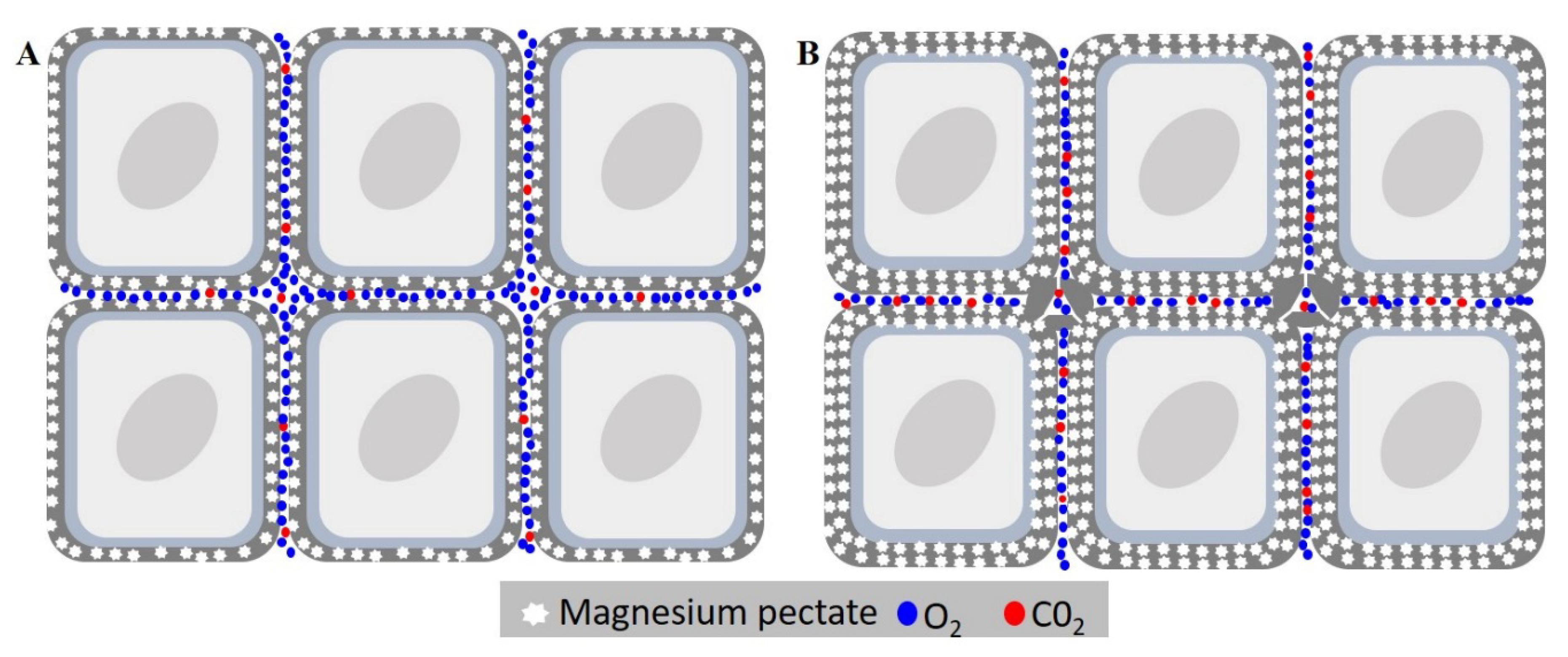 Biology 09 00186 g010