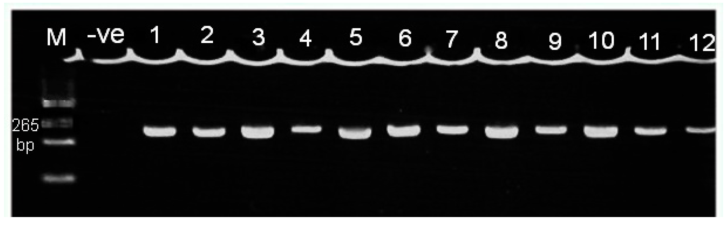 Biology 09 00222 g001 Biology 09 00222 g001