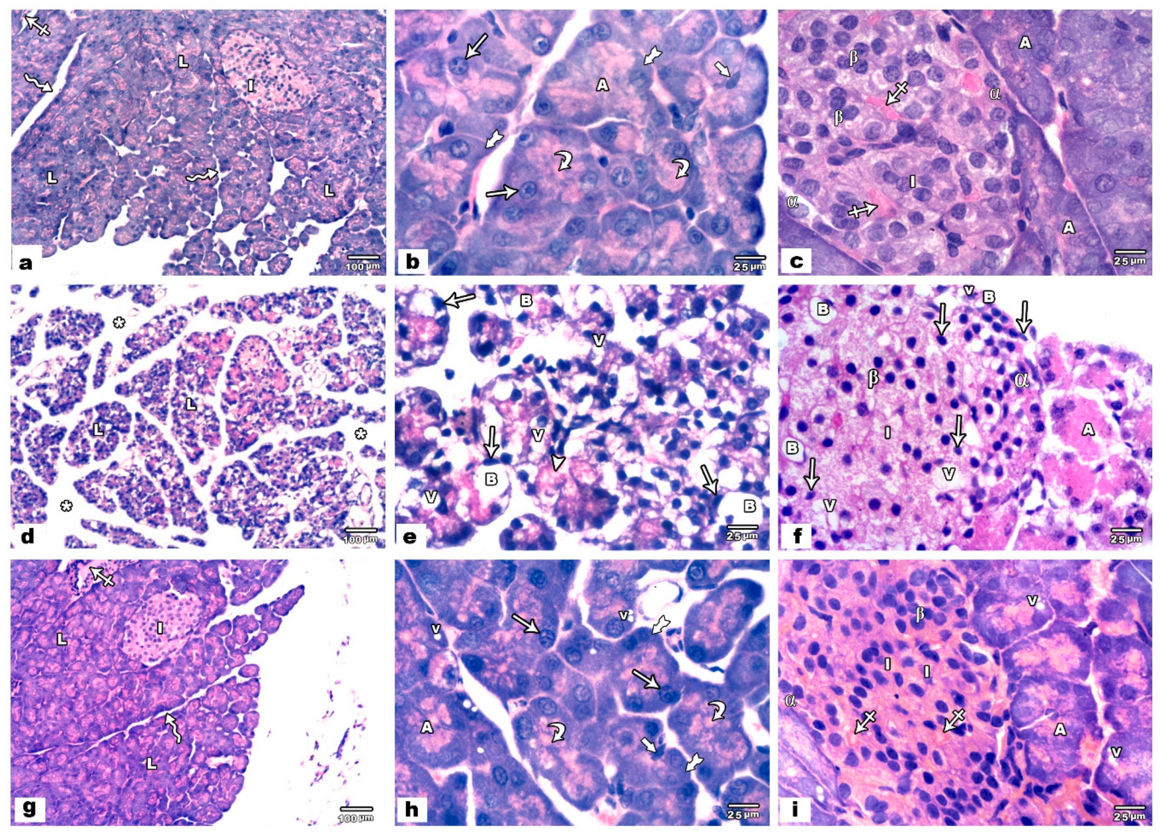 Biology 09 00239 g001 Biology 09 00239 g001