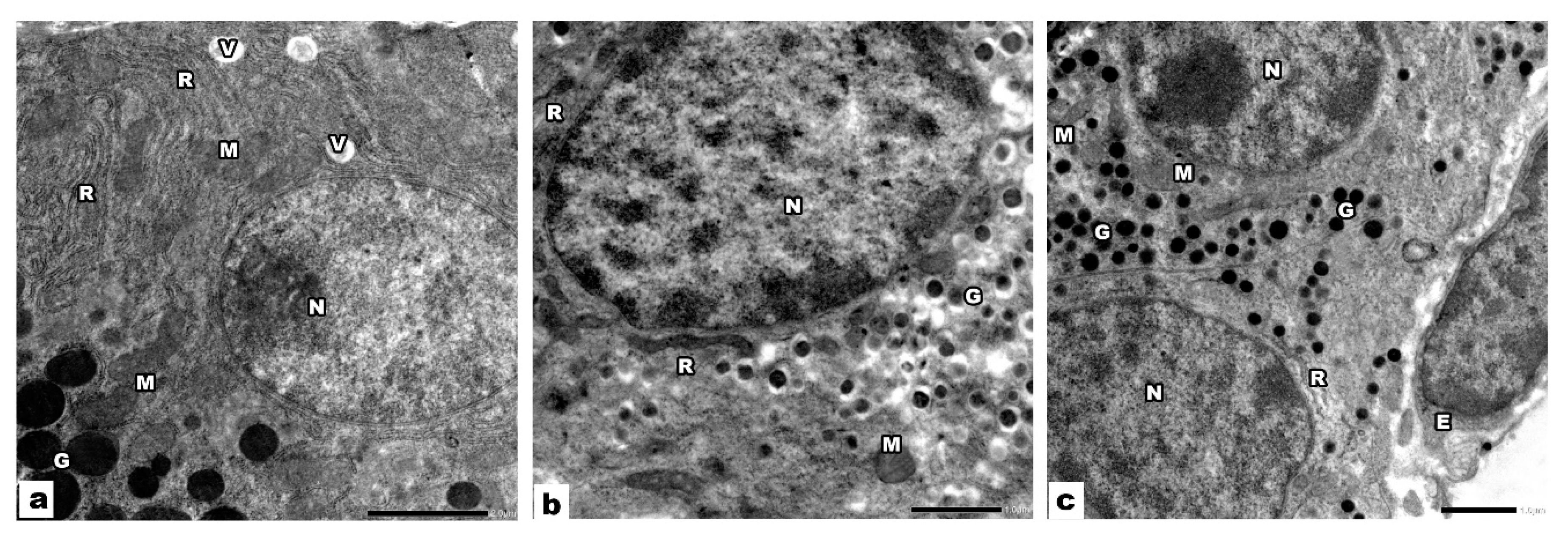 Biology 09 00239 g005 Biology 09 00239 g005
