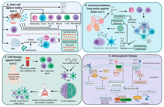 Biology | Free Full-Text | Immune Dysfunction and Multiple Treatment ...