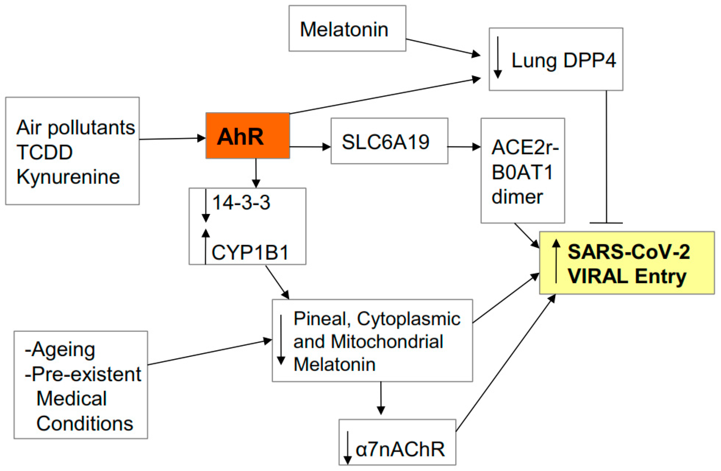 Biology | Free Full-Text | Aryl Hydrocarbon Receptor Role In Co ...