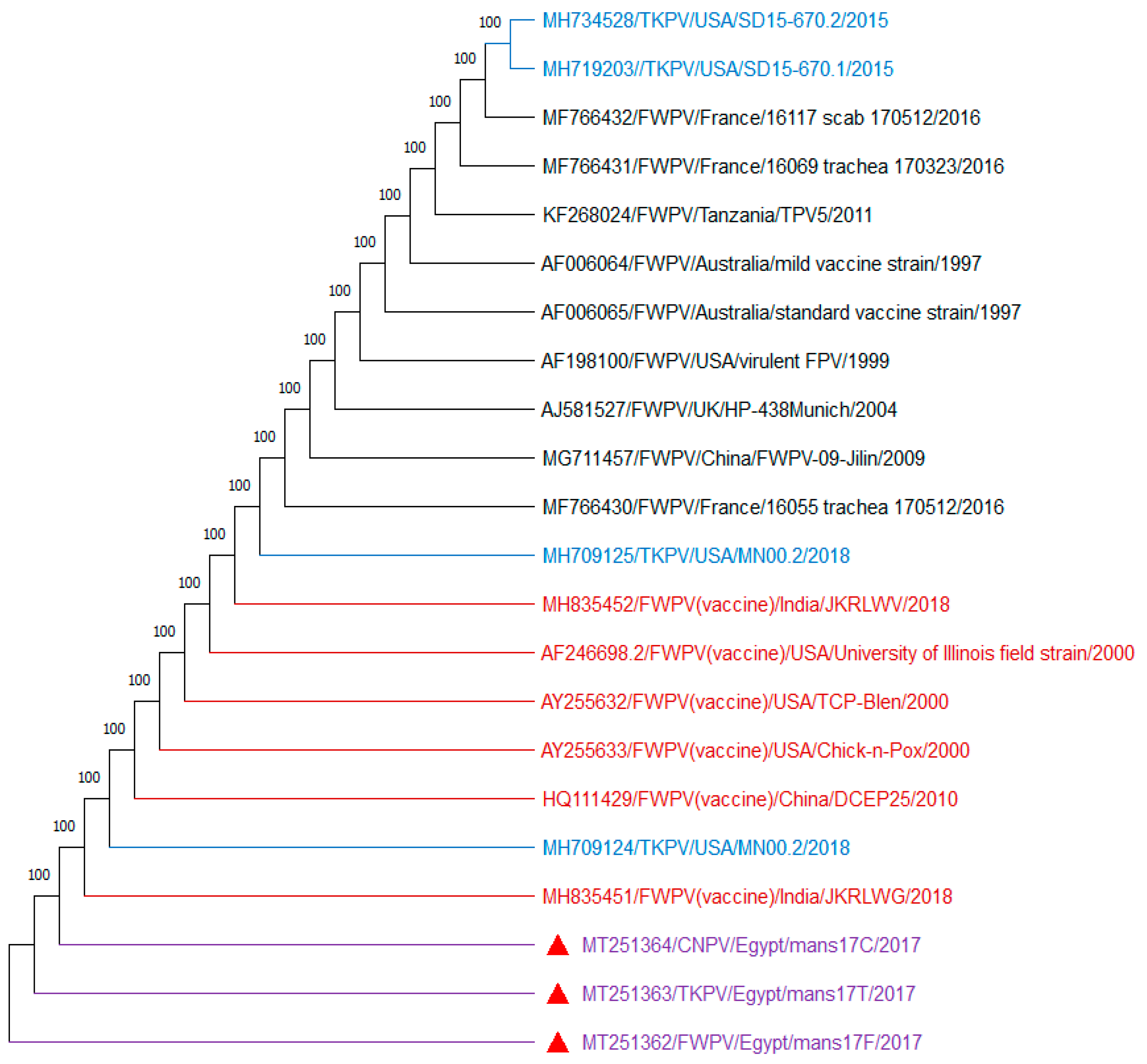 Biology 09 00257 g004