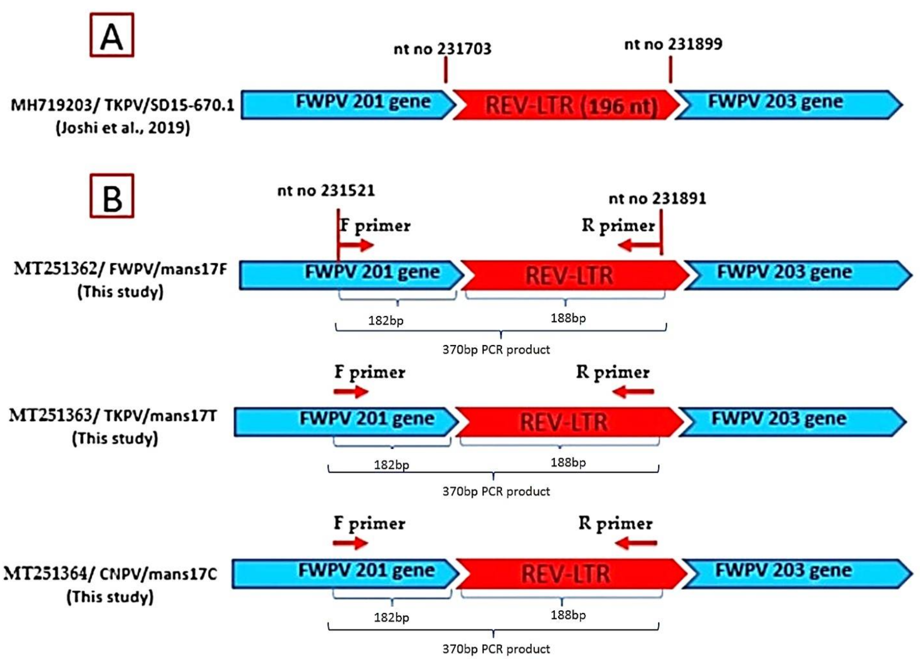 Biology 09 00257 g005