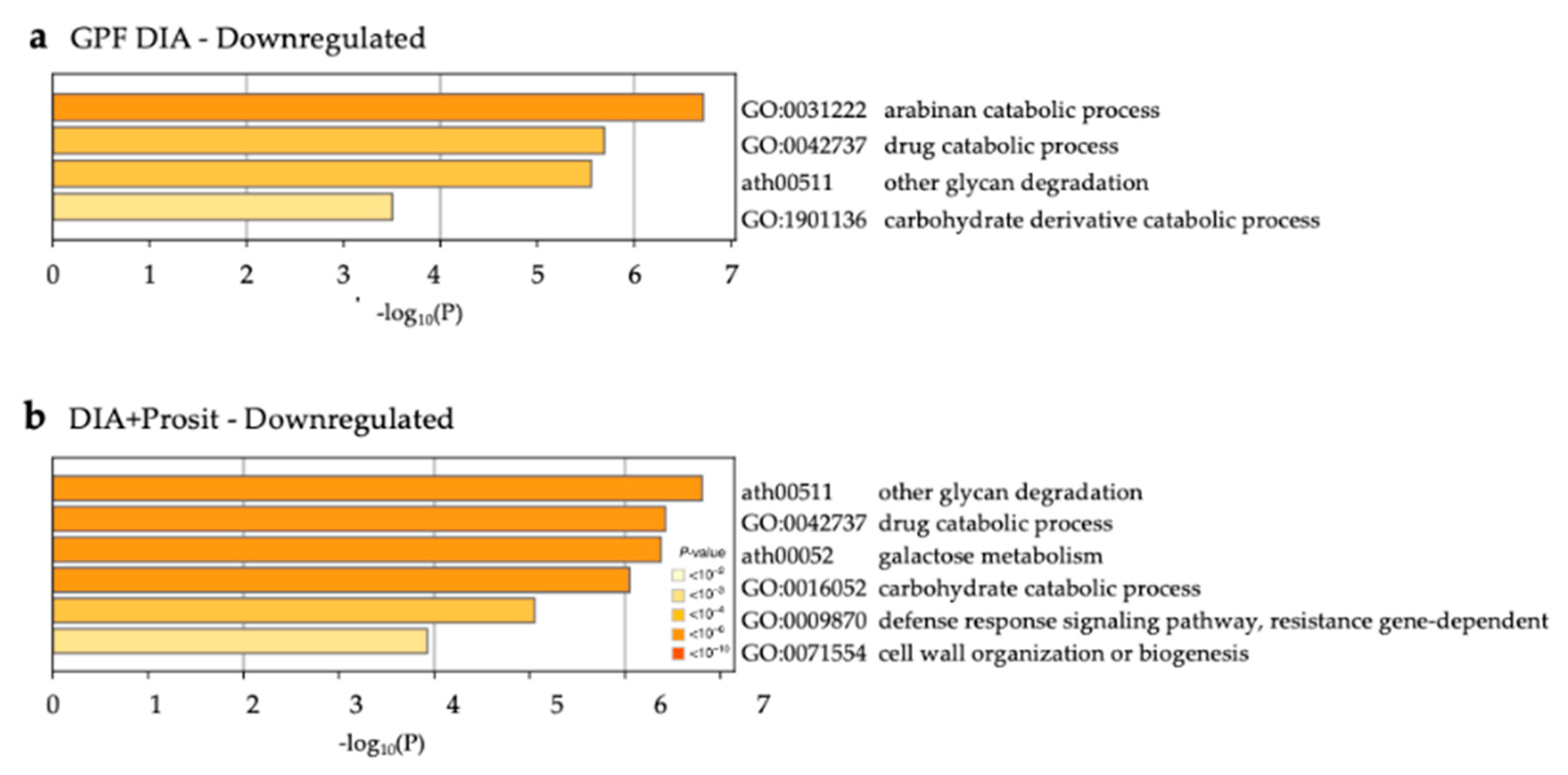 Biology 09 00261 g010