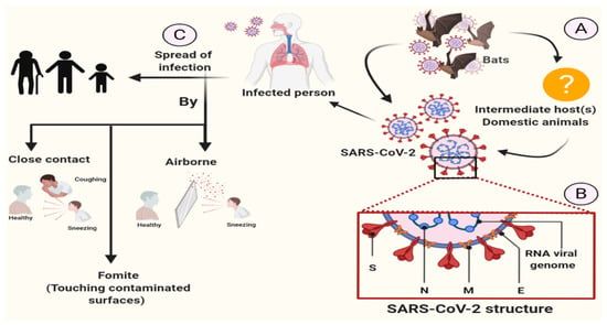 Biology | Special Issue : Coronavirus Disease 2019 (COVID-19)