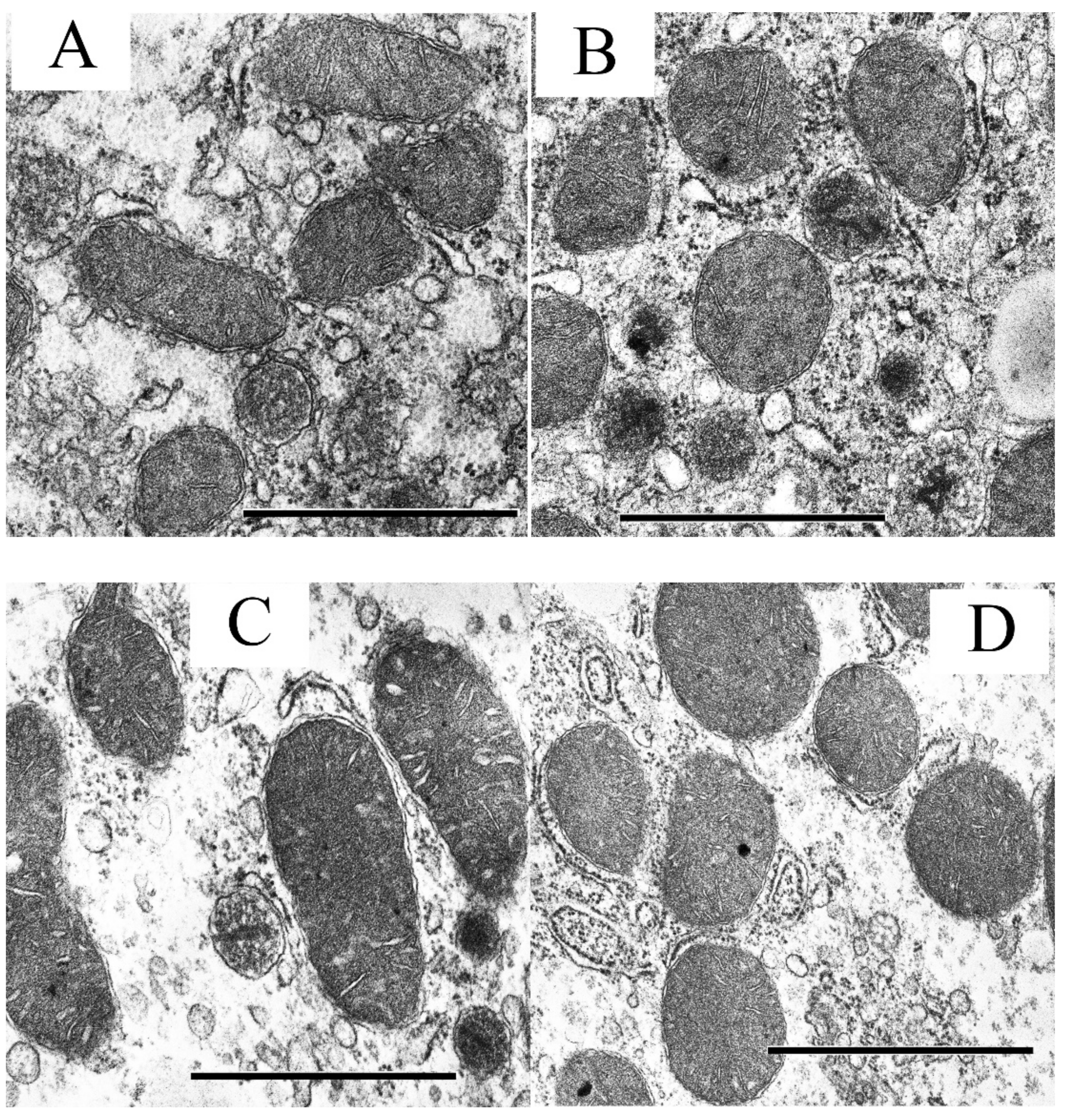Biology 09 00309 g002a