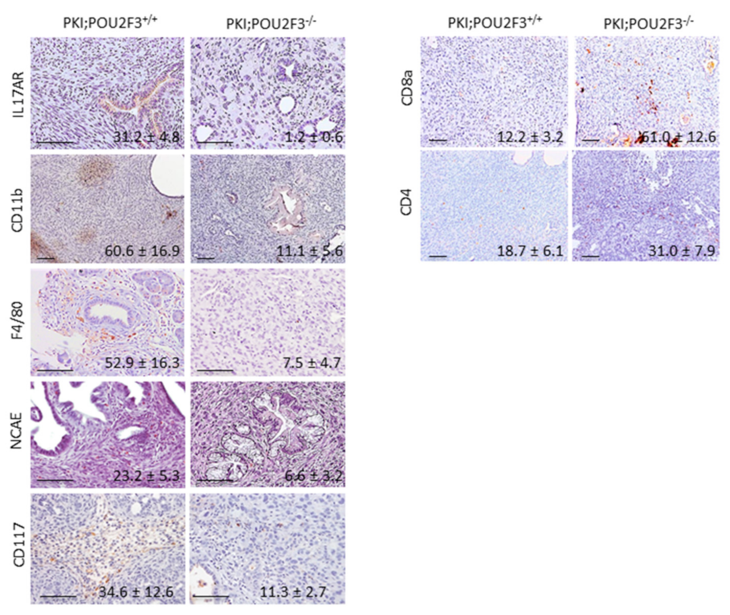 Biology 09 00341 g004