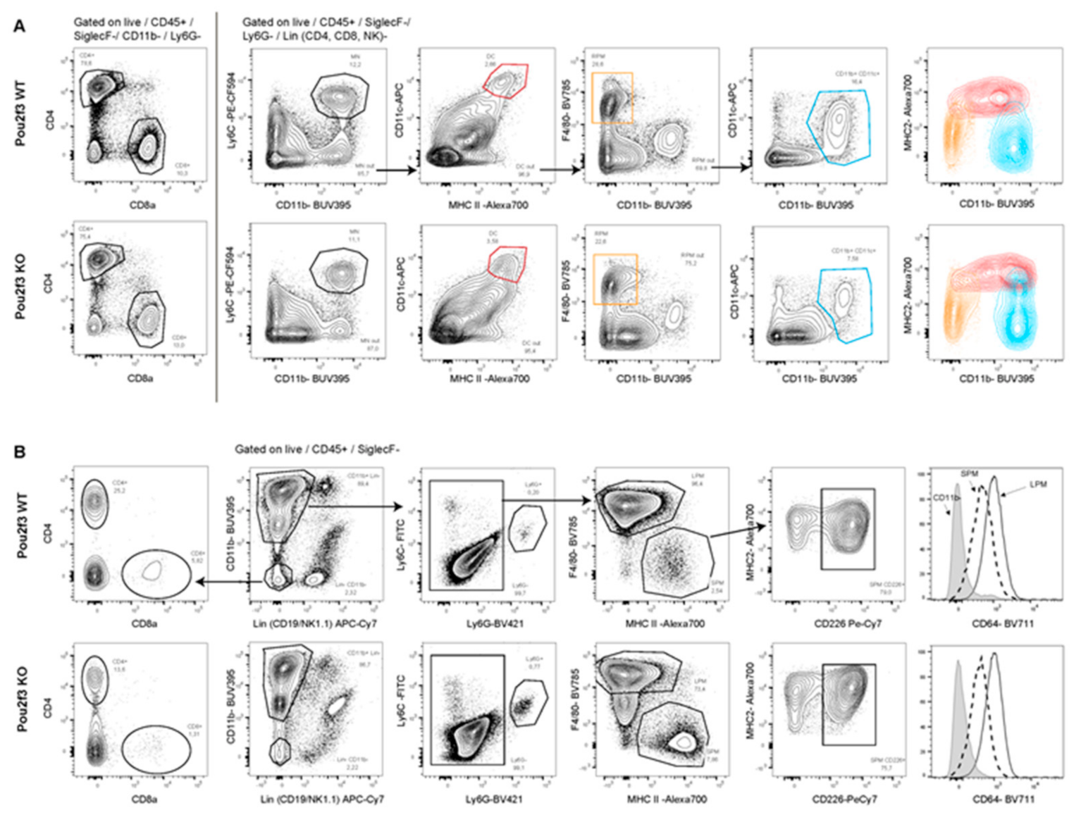 Biology 09 00341 g005