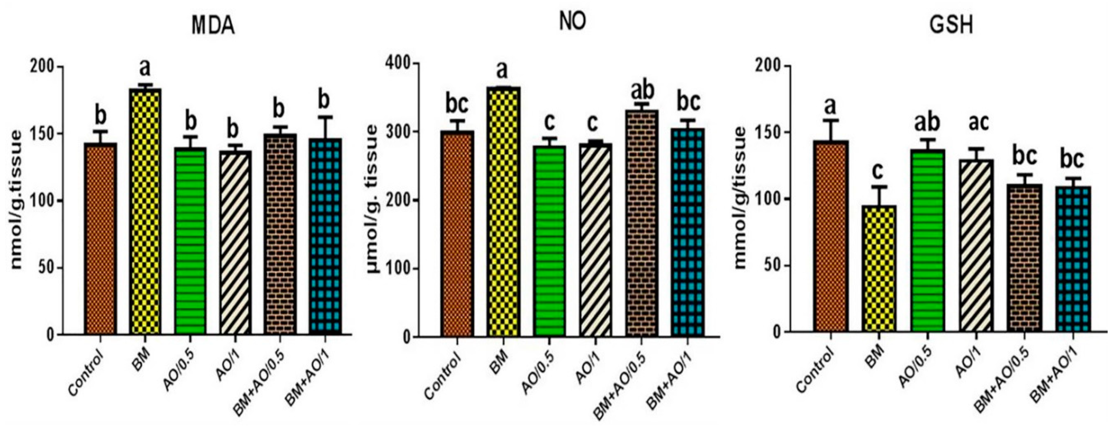 Biology 09 00352 g002