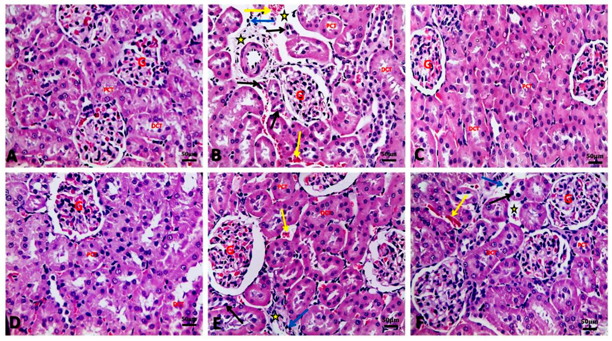 Biology 09 00352 g003