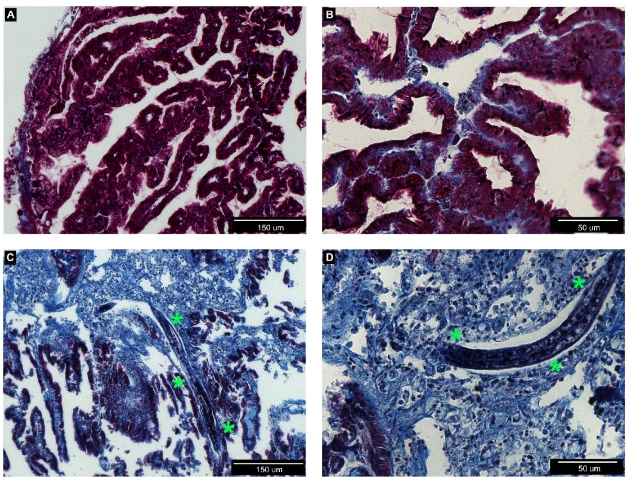 Biology 09 00371 g002 Biology 09 00371 g002