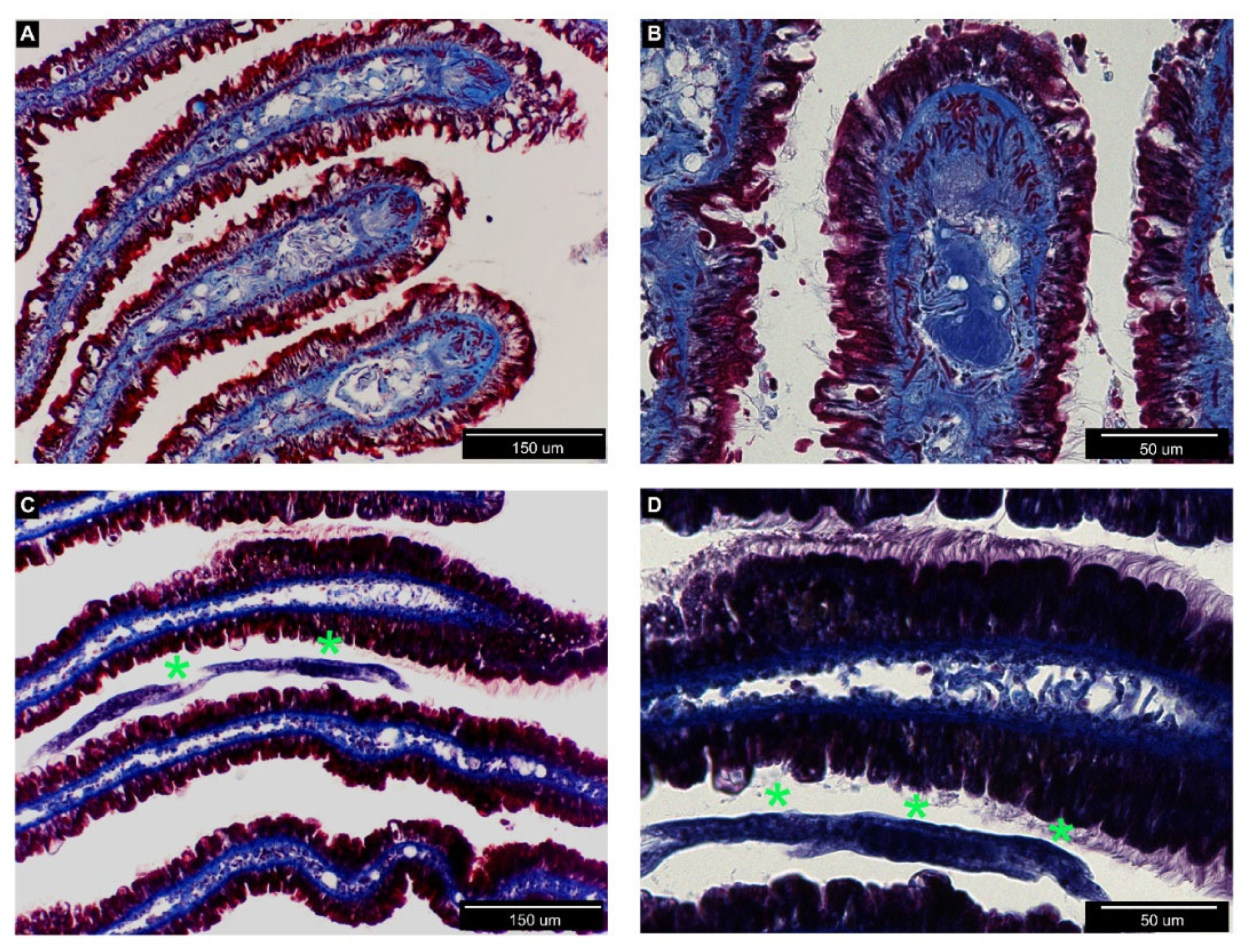 Biology 09 00371 g003 Biology 09 00371 g003