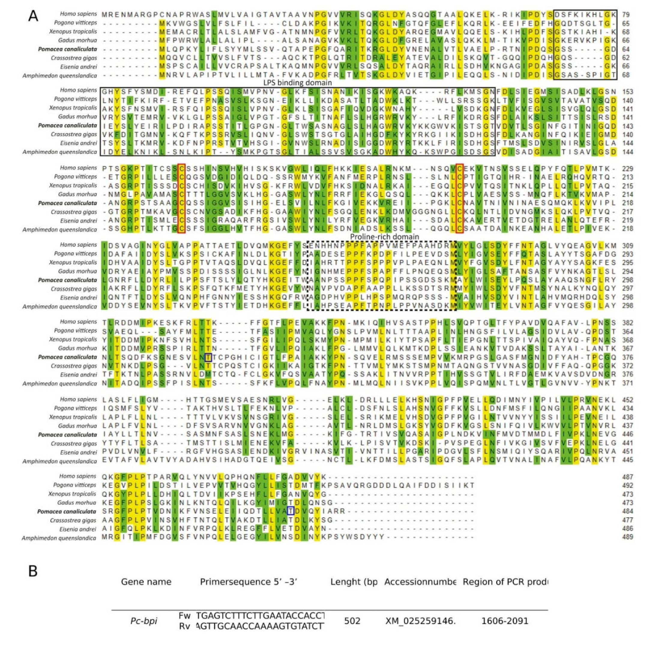 Biology 09 00371 g005 Biology 09 00371 g005