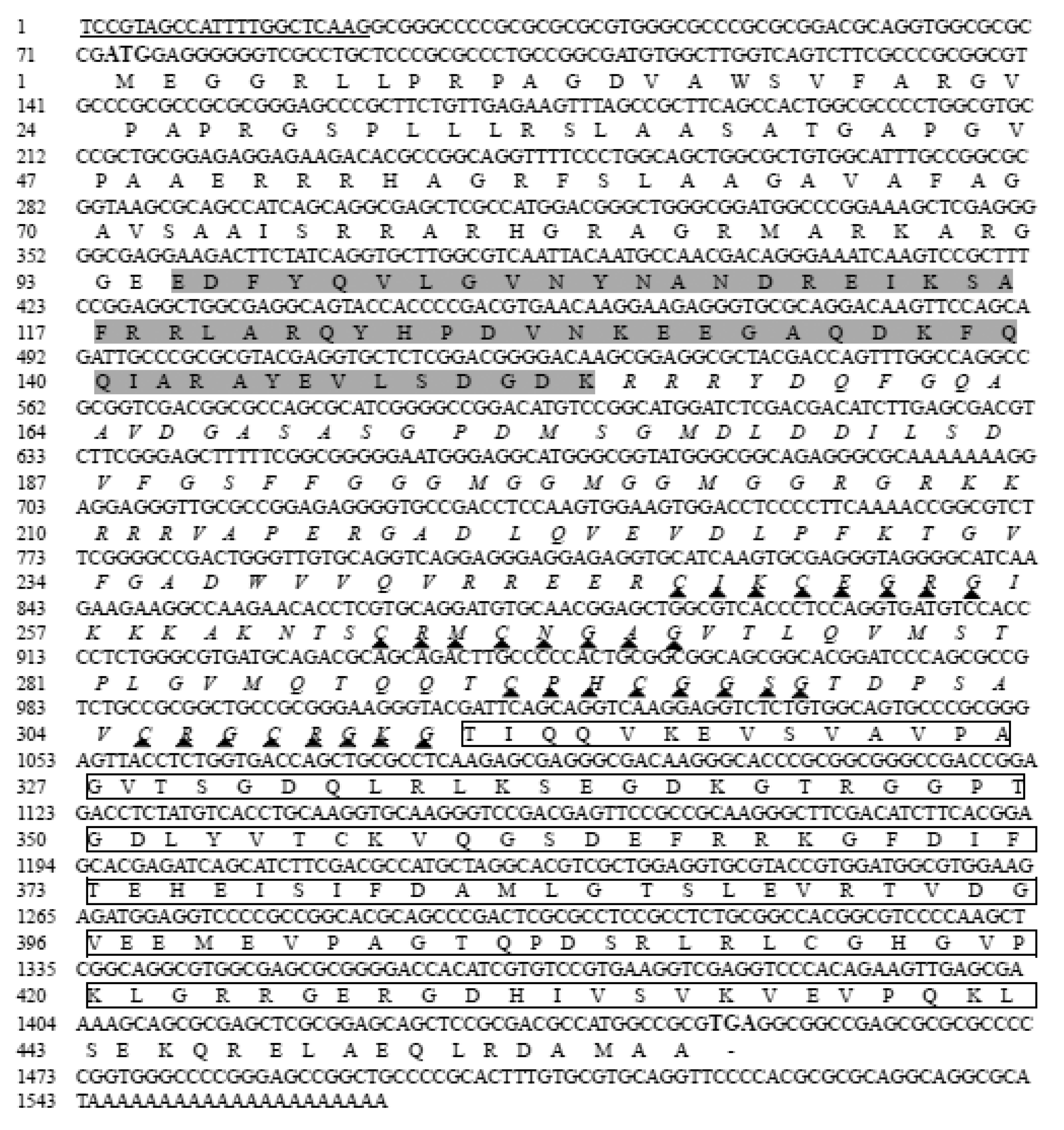 Biology 09 00408 g002