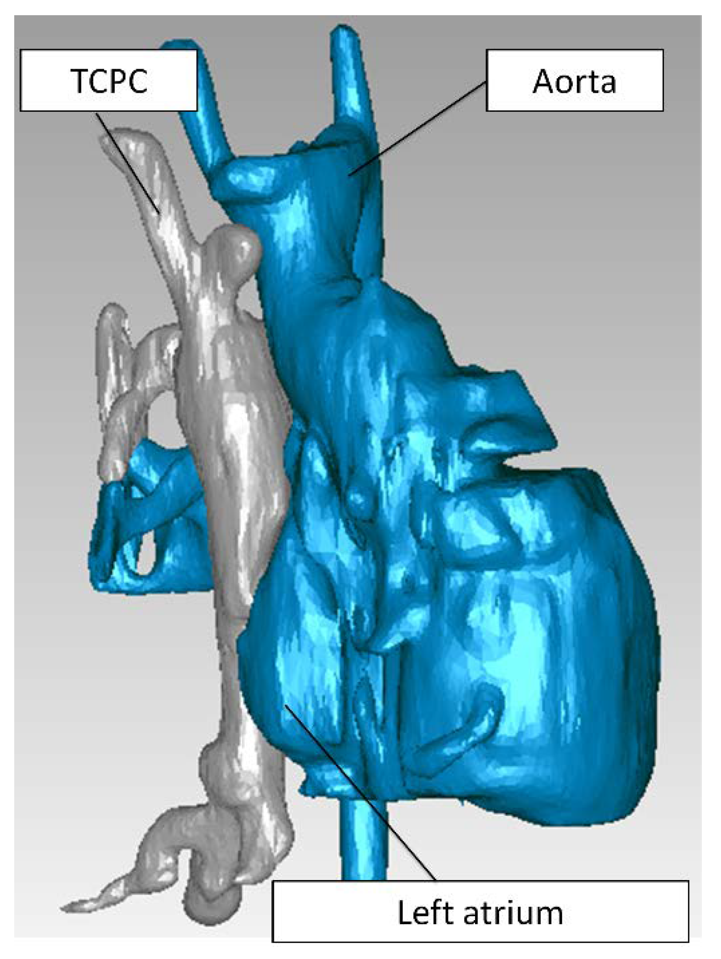 Biology 09 00412 g003 Biology 09 00412 g003