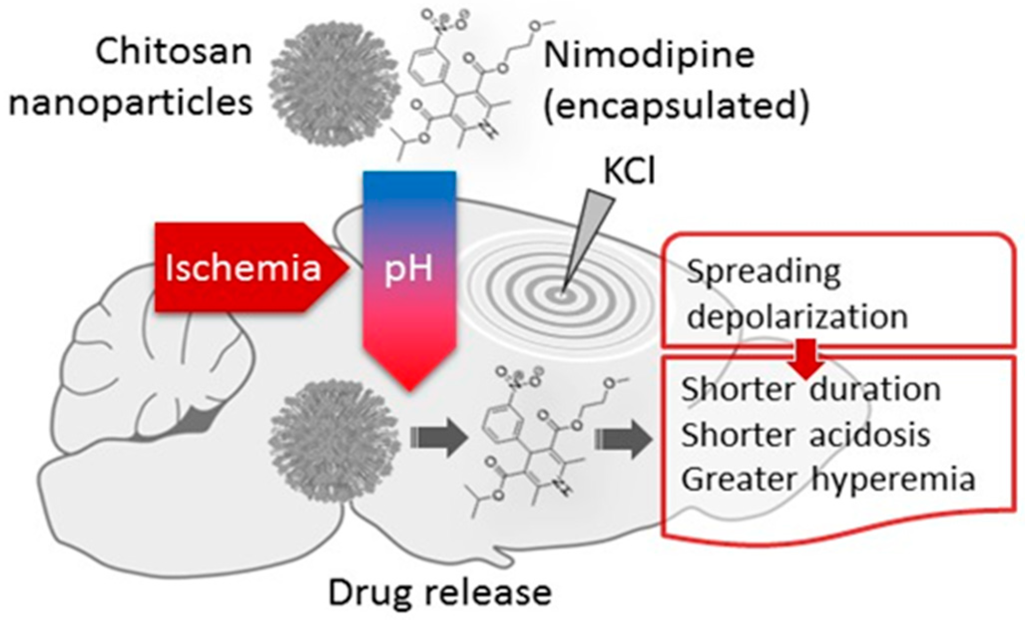 Biology 09 00460 g005 Biology 09 00460 g005