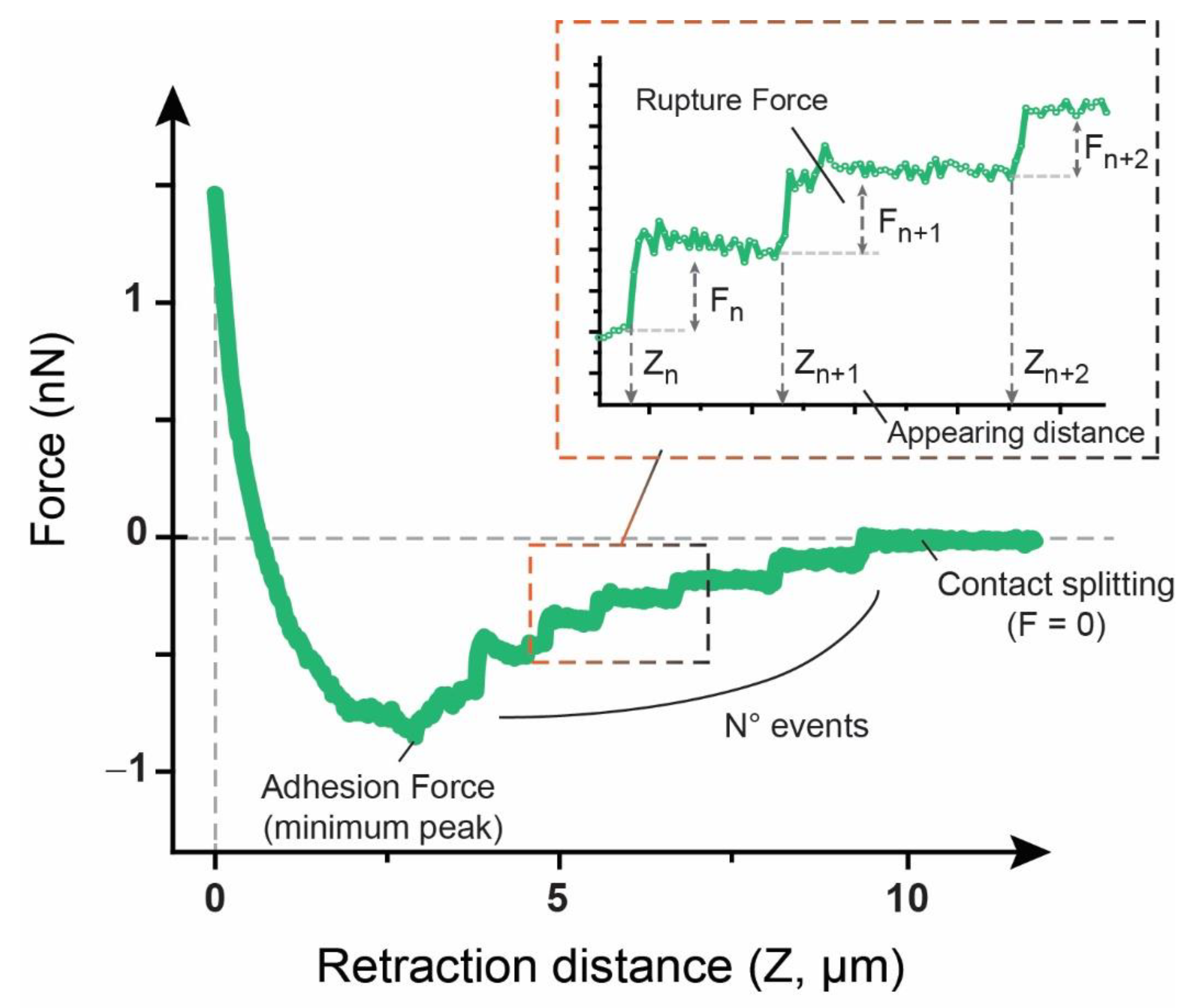 Biology 09 00468 g002