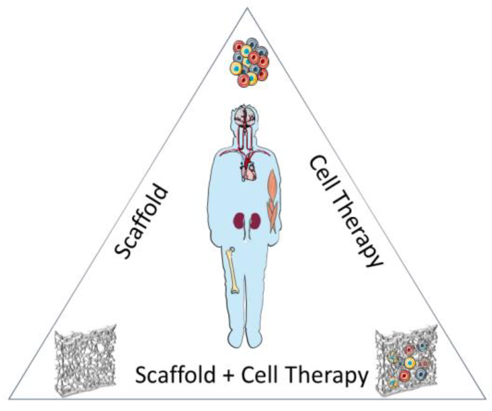 Biology 09 00486 g001