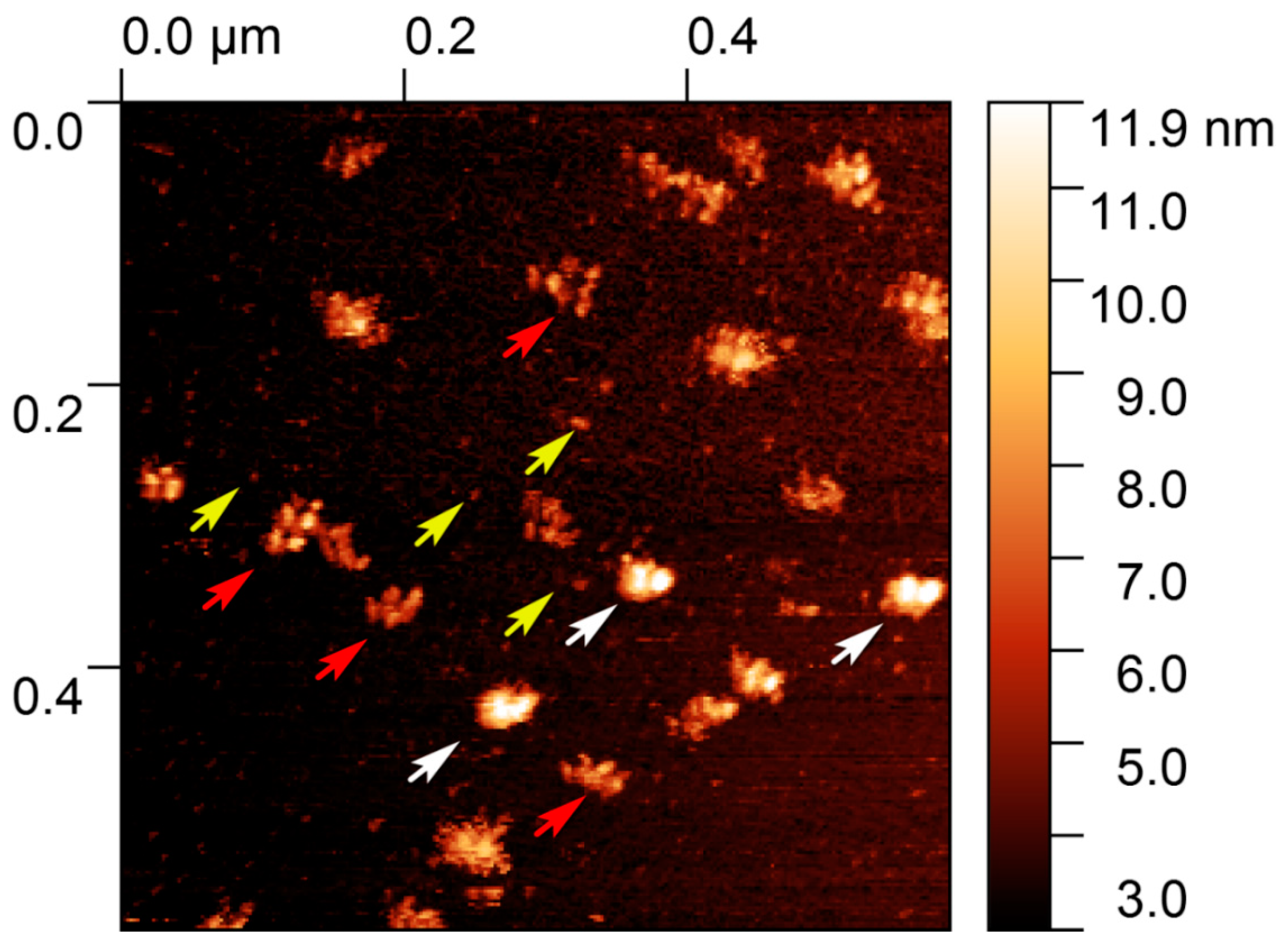 Biology | Free Full-Text | Biomechanical Properties Of Blood Plasma ...